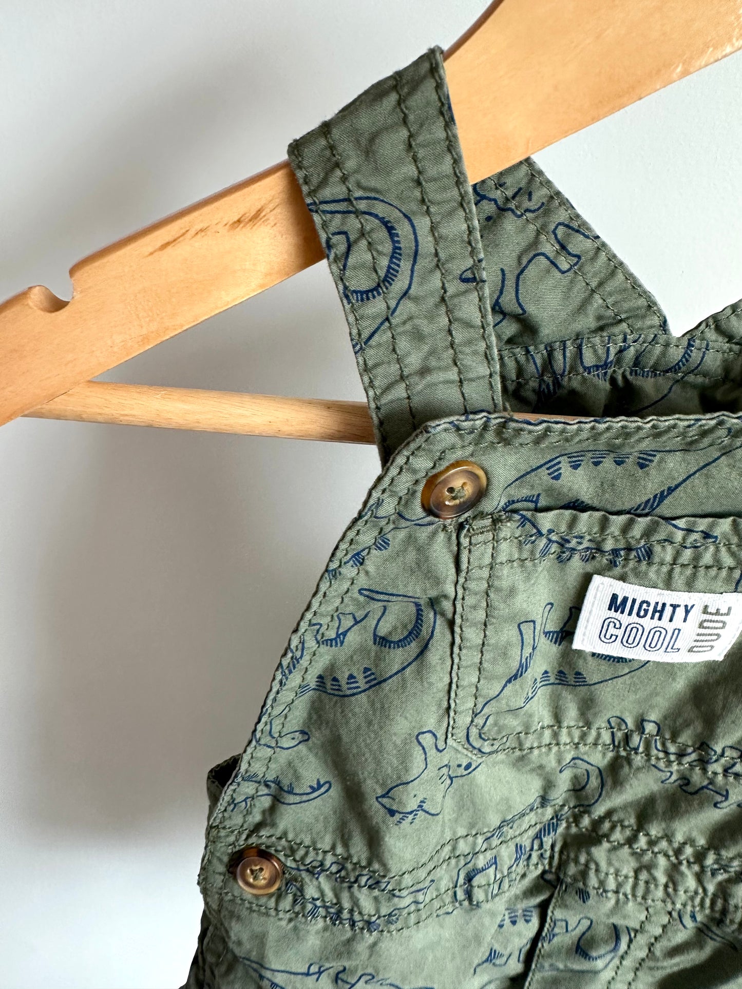Dino Overalls / 12m