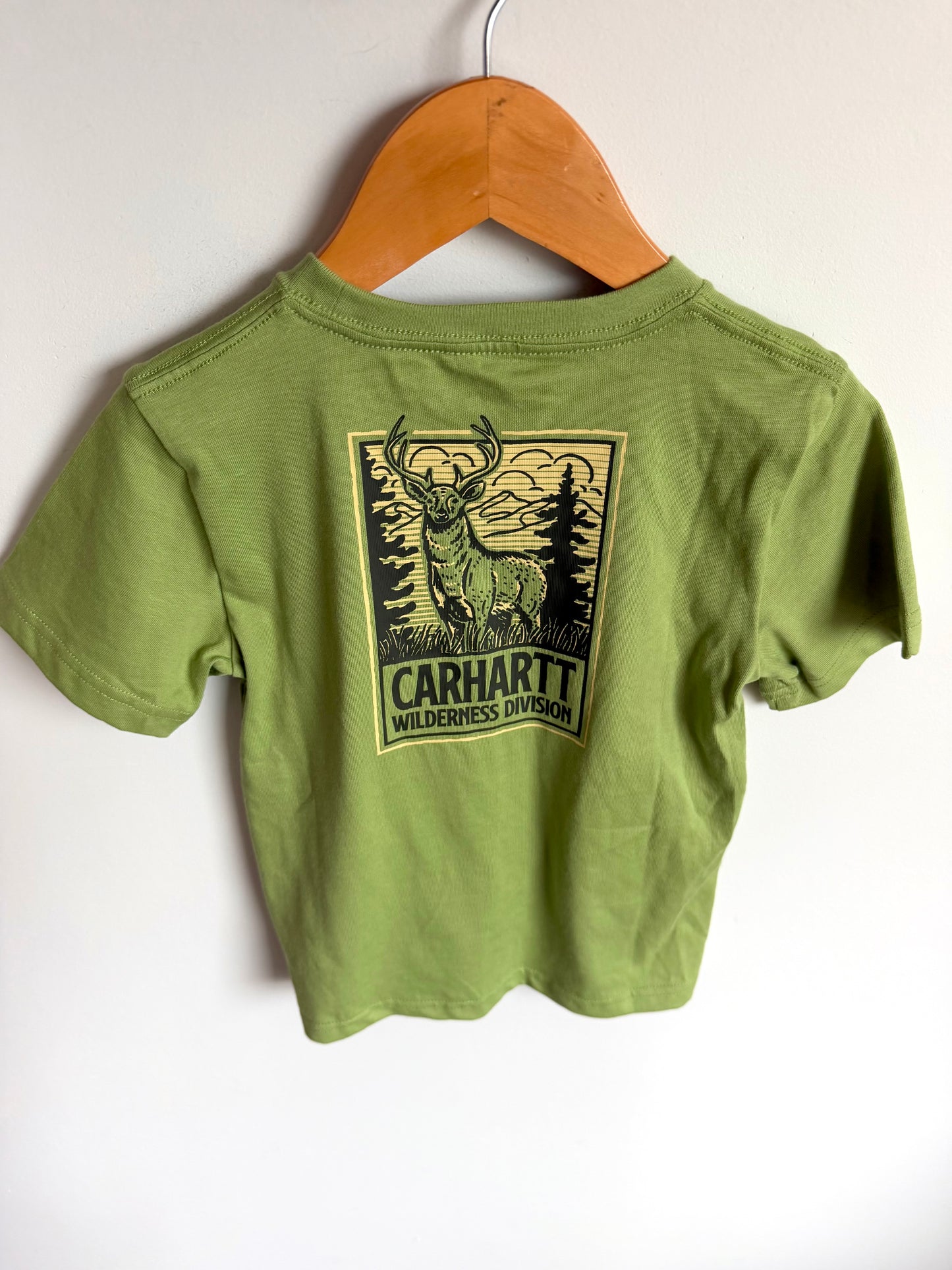 Carhartt Wilderness Division T-Shirt (With Tags) / 4T