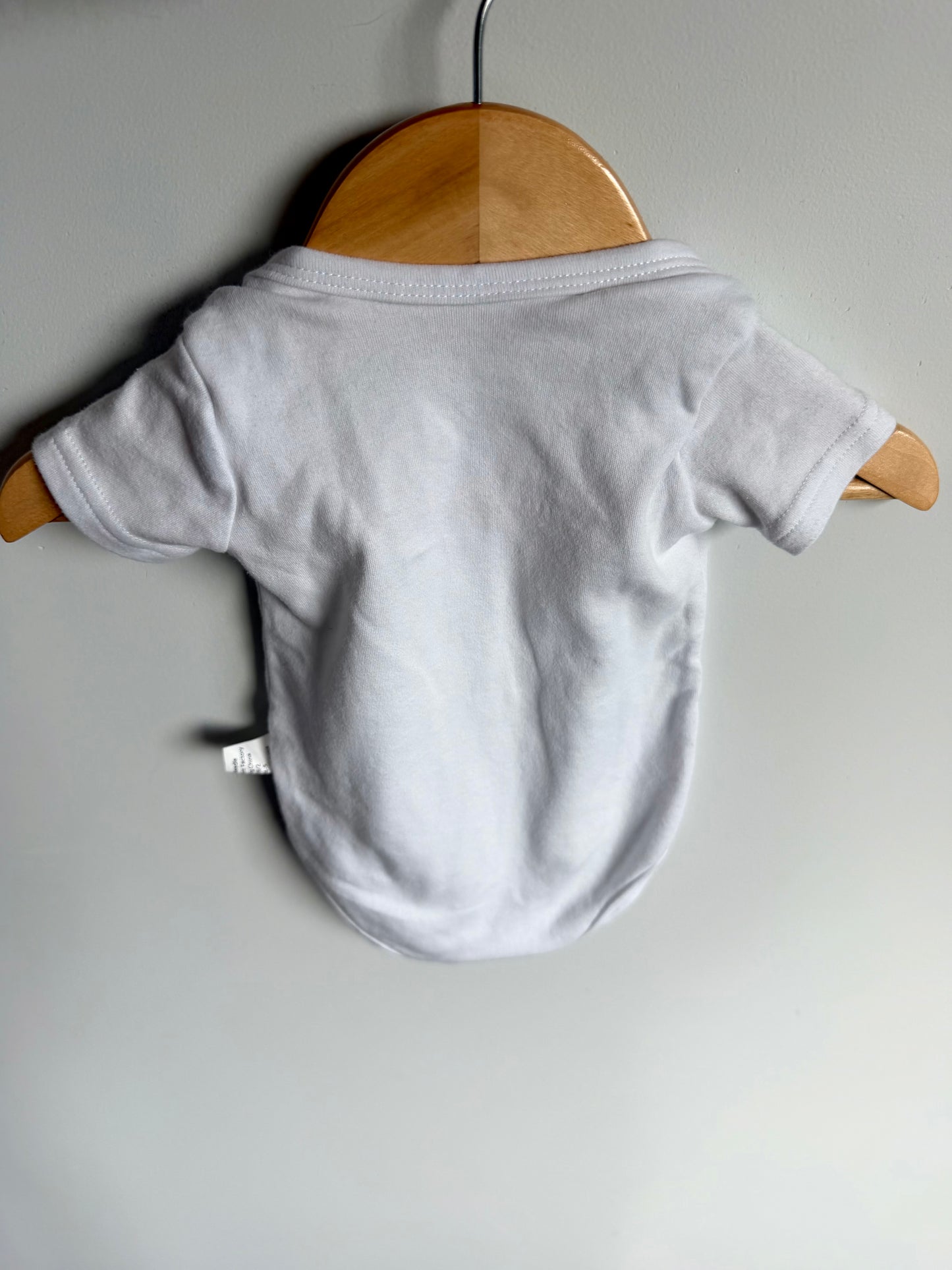 I Just Did 9 Months On The Inside Bodysuit / 0-3m