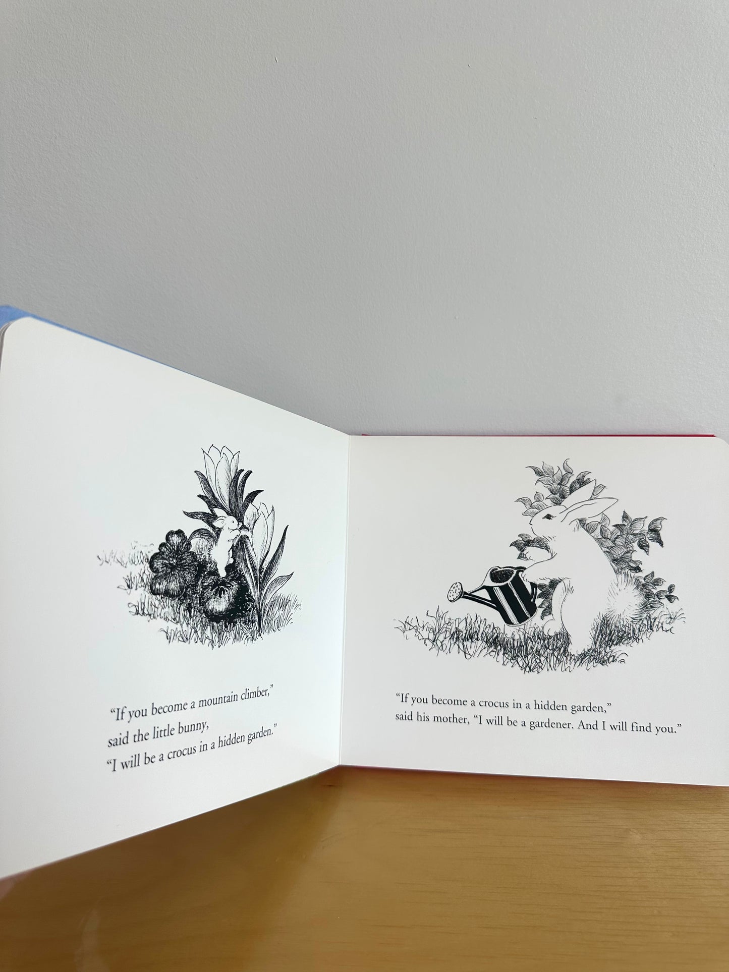 The Runaway Bunny Board Book / 0-4 years