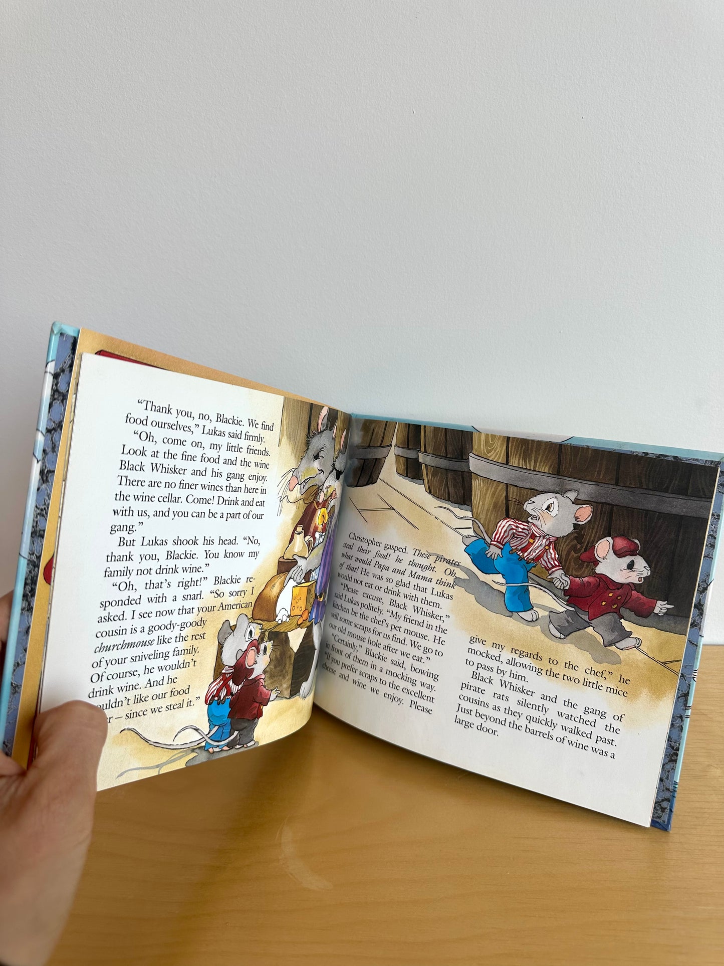 The Stowaways Hardcover Book / 4-8 years
