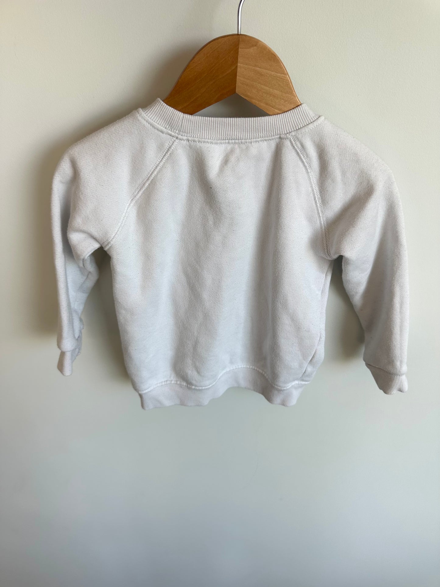 Mickey Disneyland Sweater (PLAY) / 18-24m