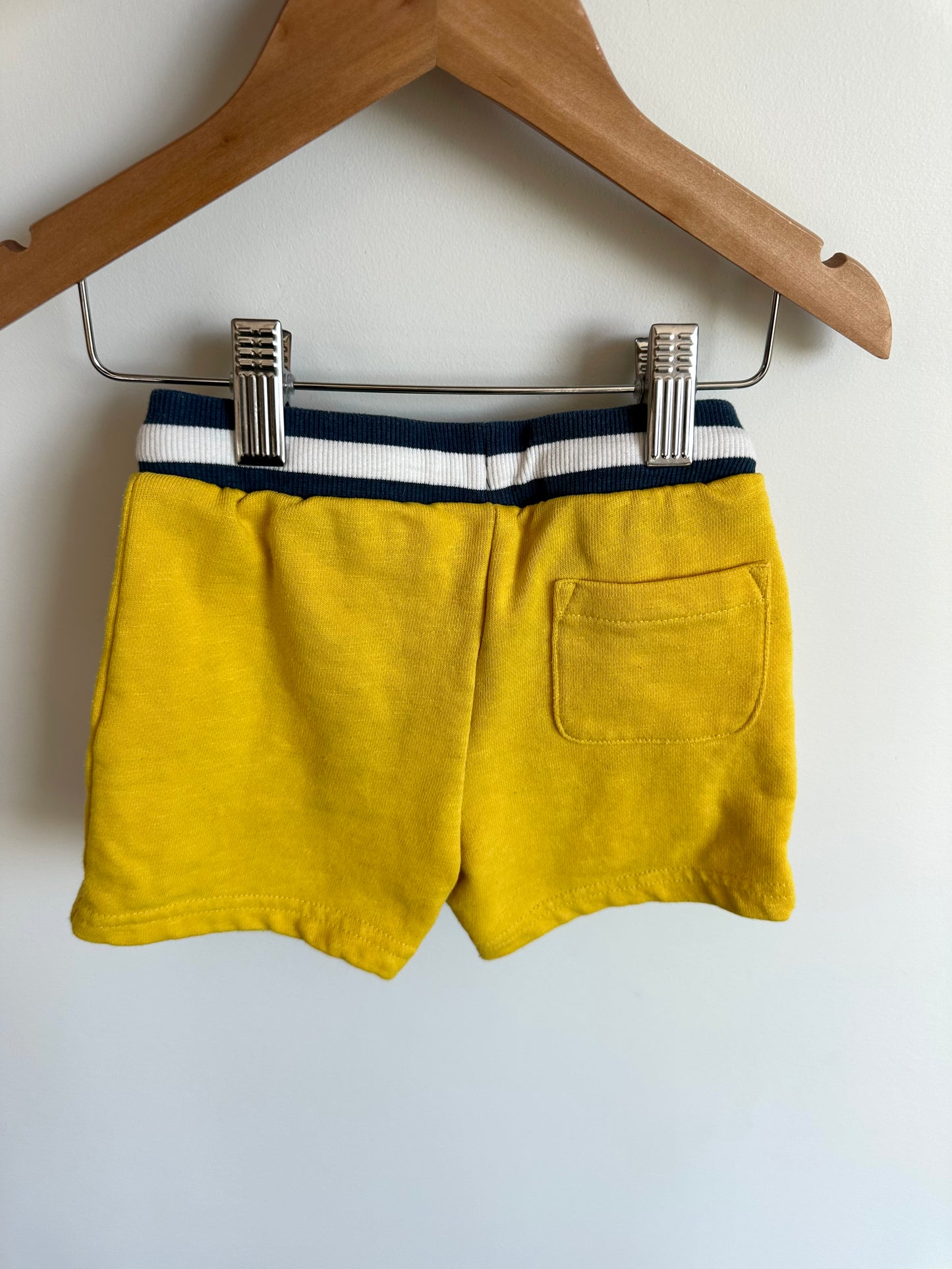 Yellow Shorts with Navy Waistband / 2T