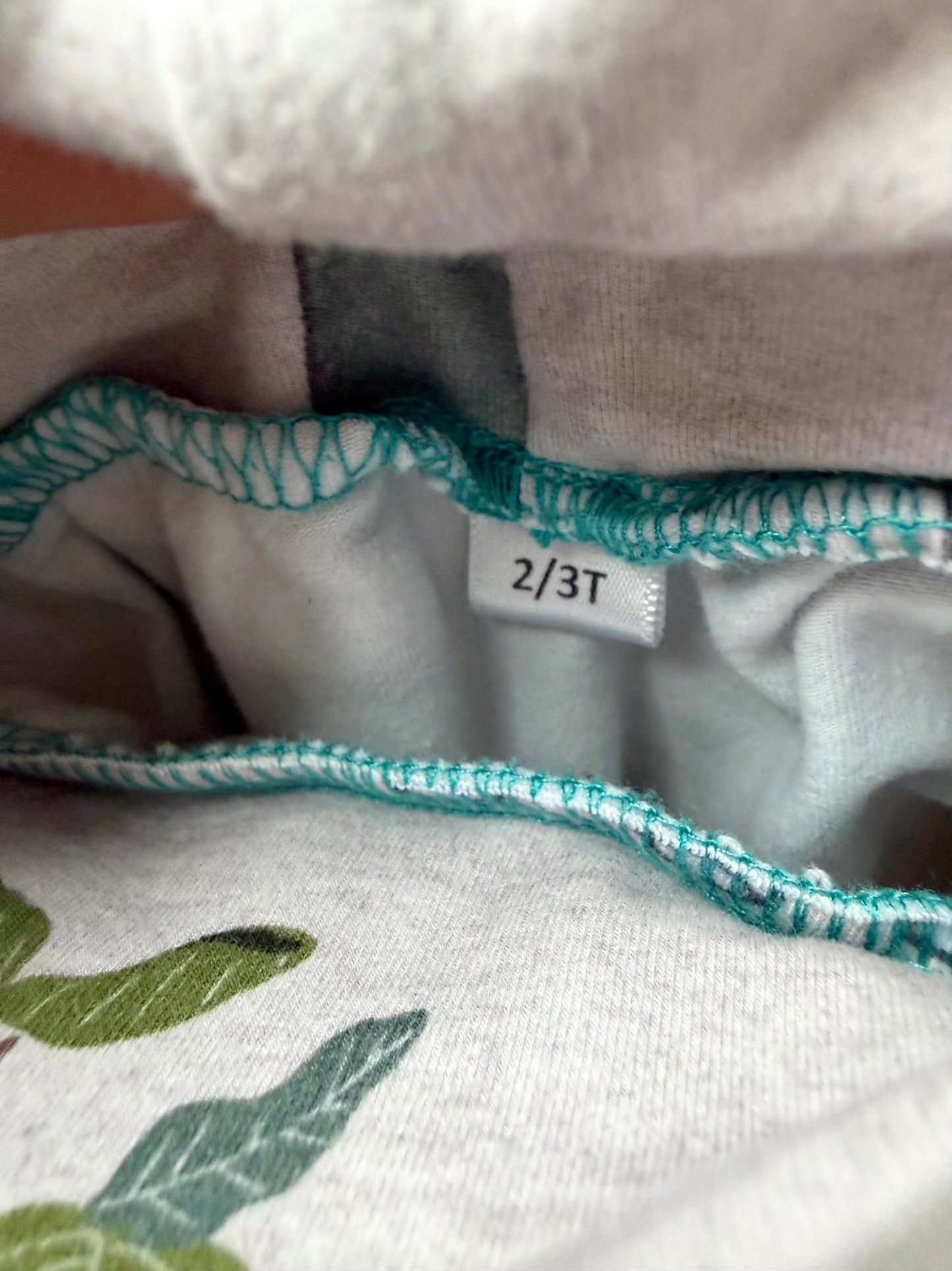 Teddy Little Apparel House Plants Pants (PLAY) / 2T