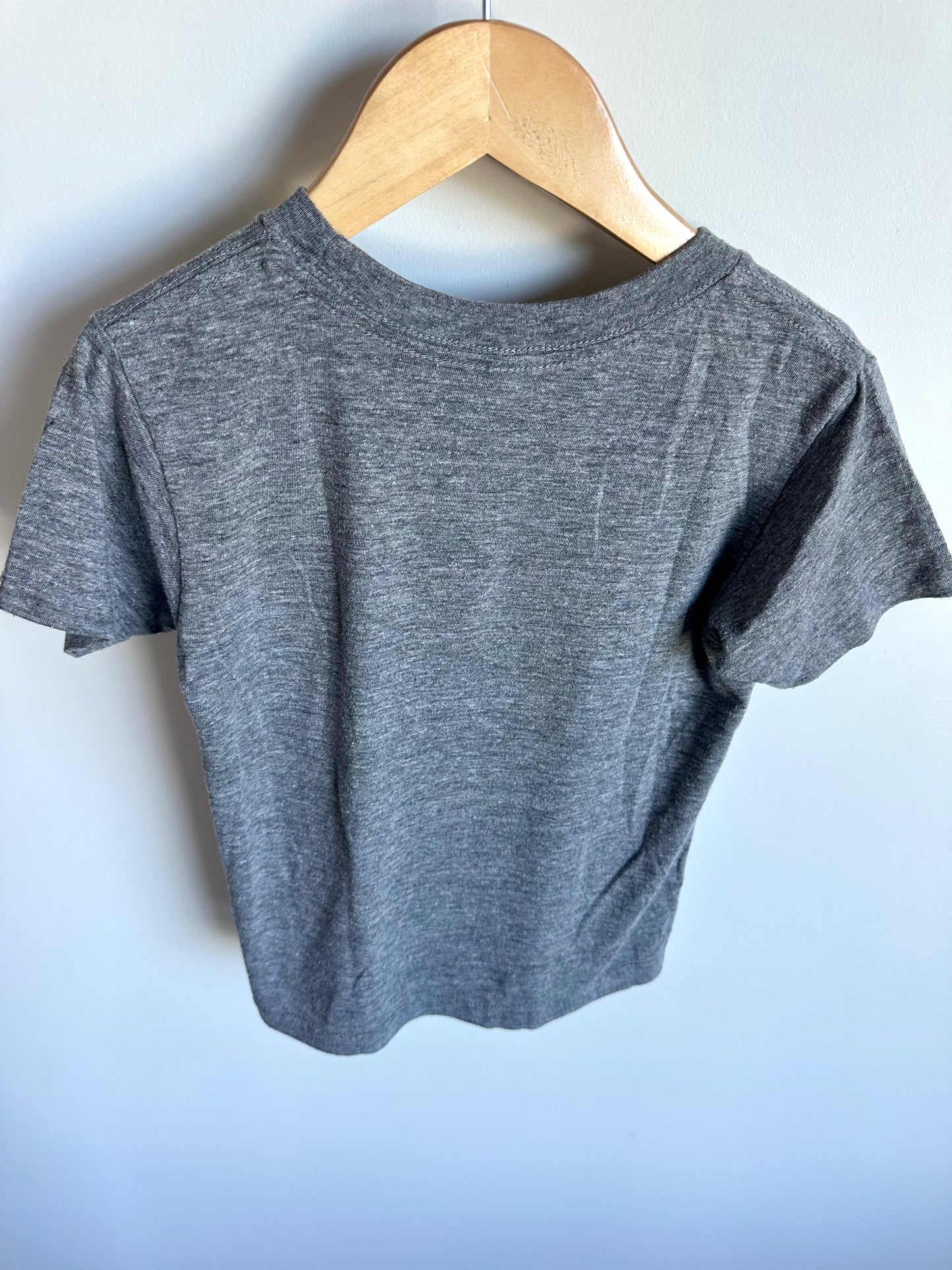 Got It From My Mama Grey T-shirt / 6 years