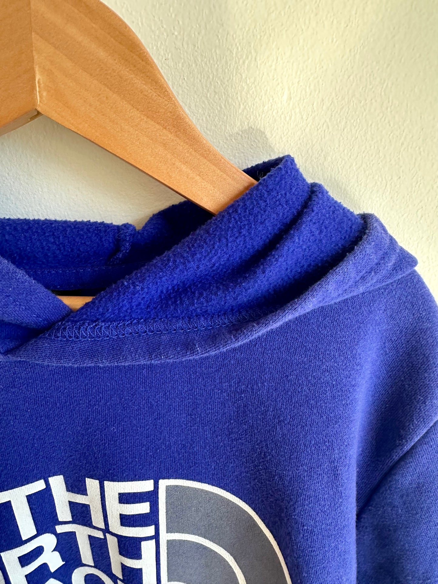 The North Face Hoodie / 12 years (Lg)
