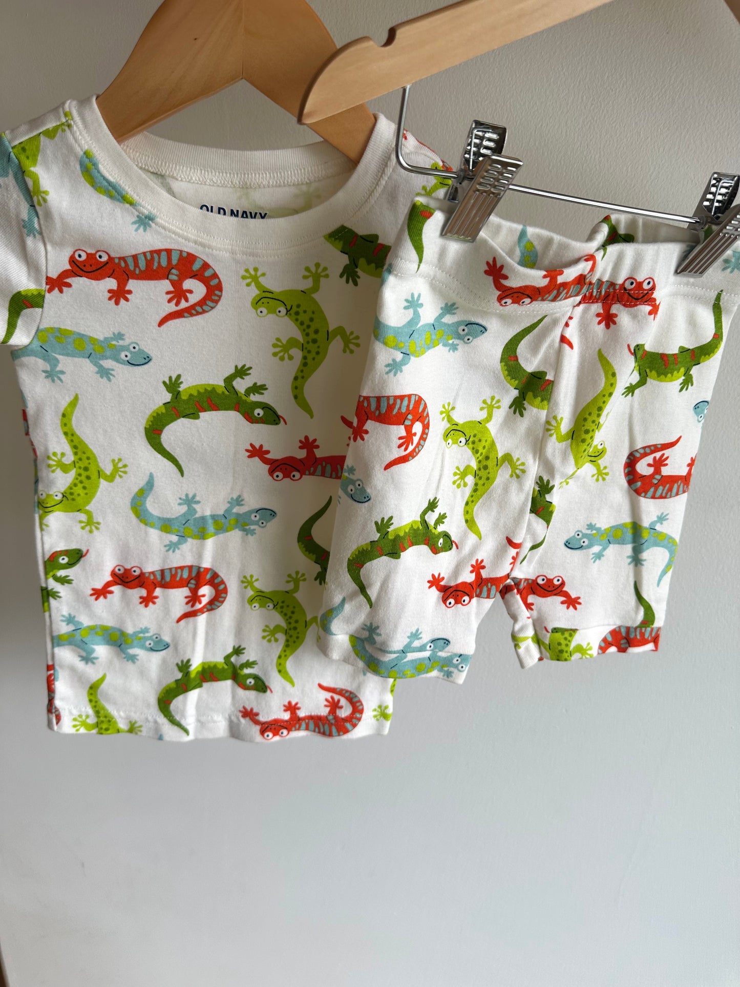 Lizard Top + Shorts Set / 2T