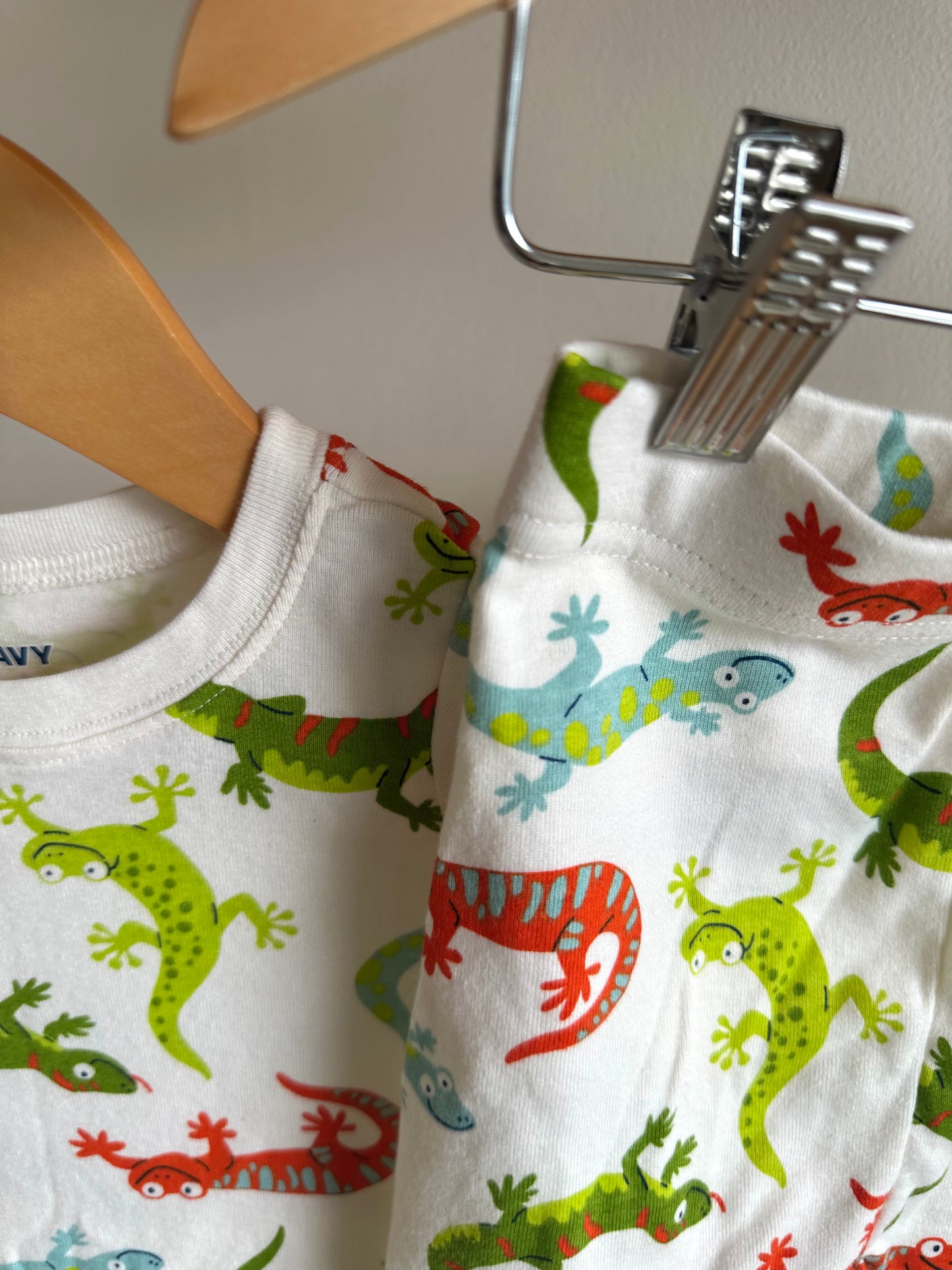 Lizard Top + Shorts Set / 2T