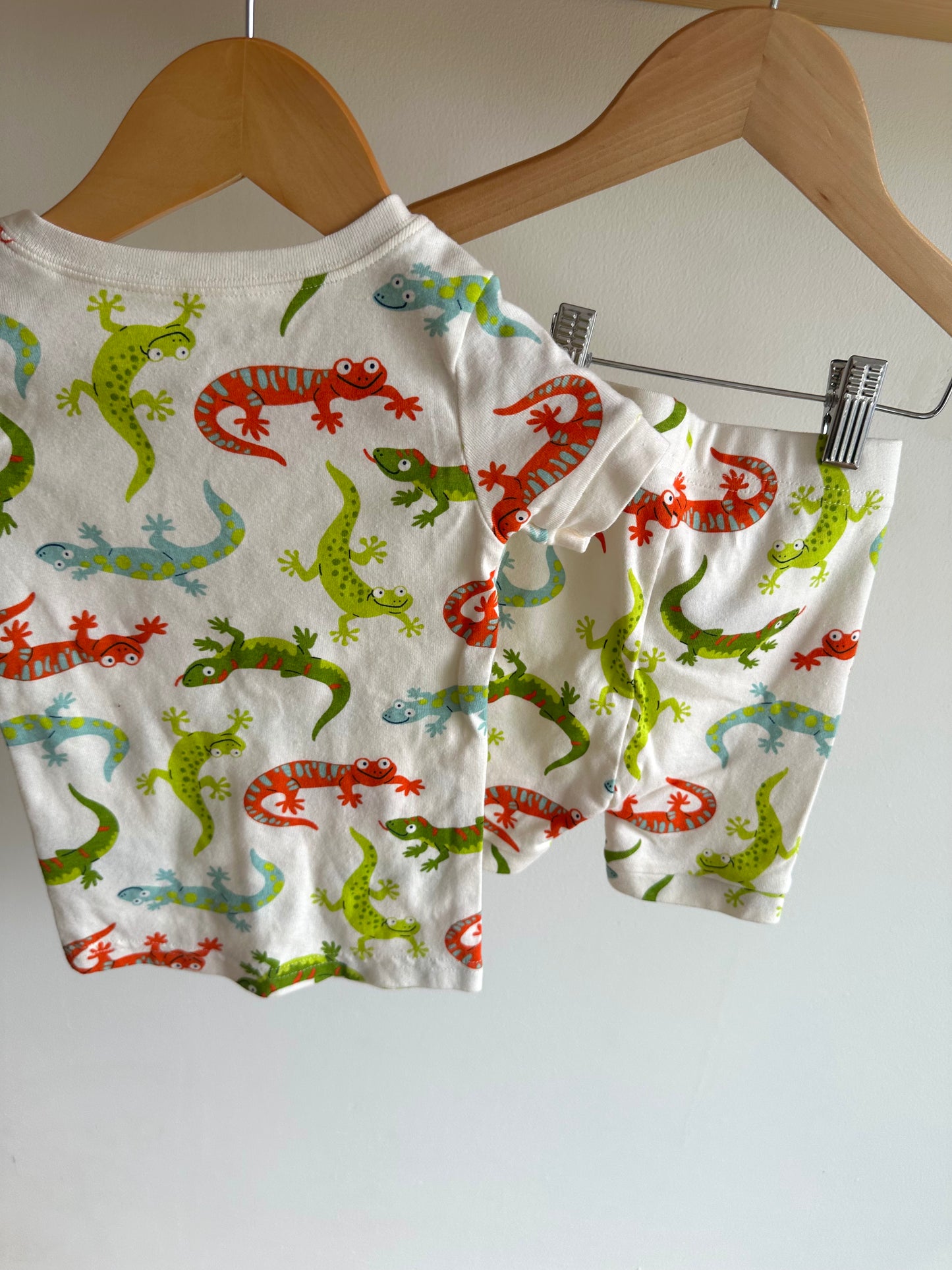 Lizard Top + Shorts Set / 2T