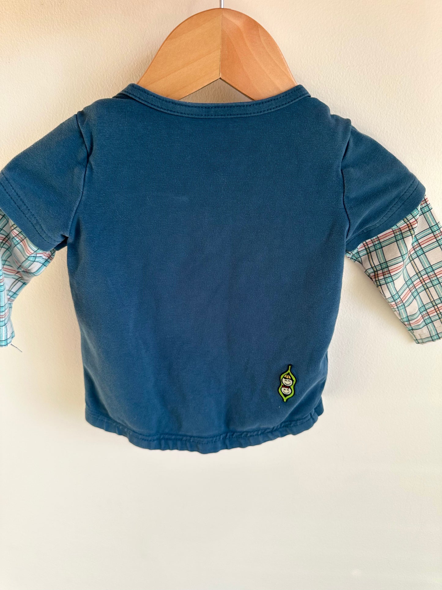 Peekaboo Beans Plane Long Sleeve / 6m