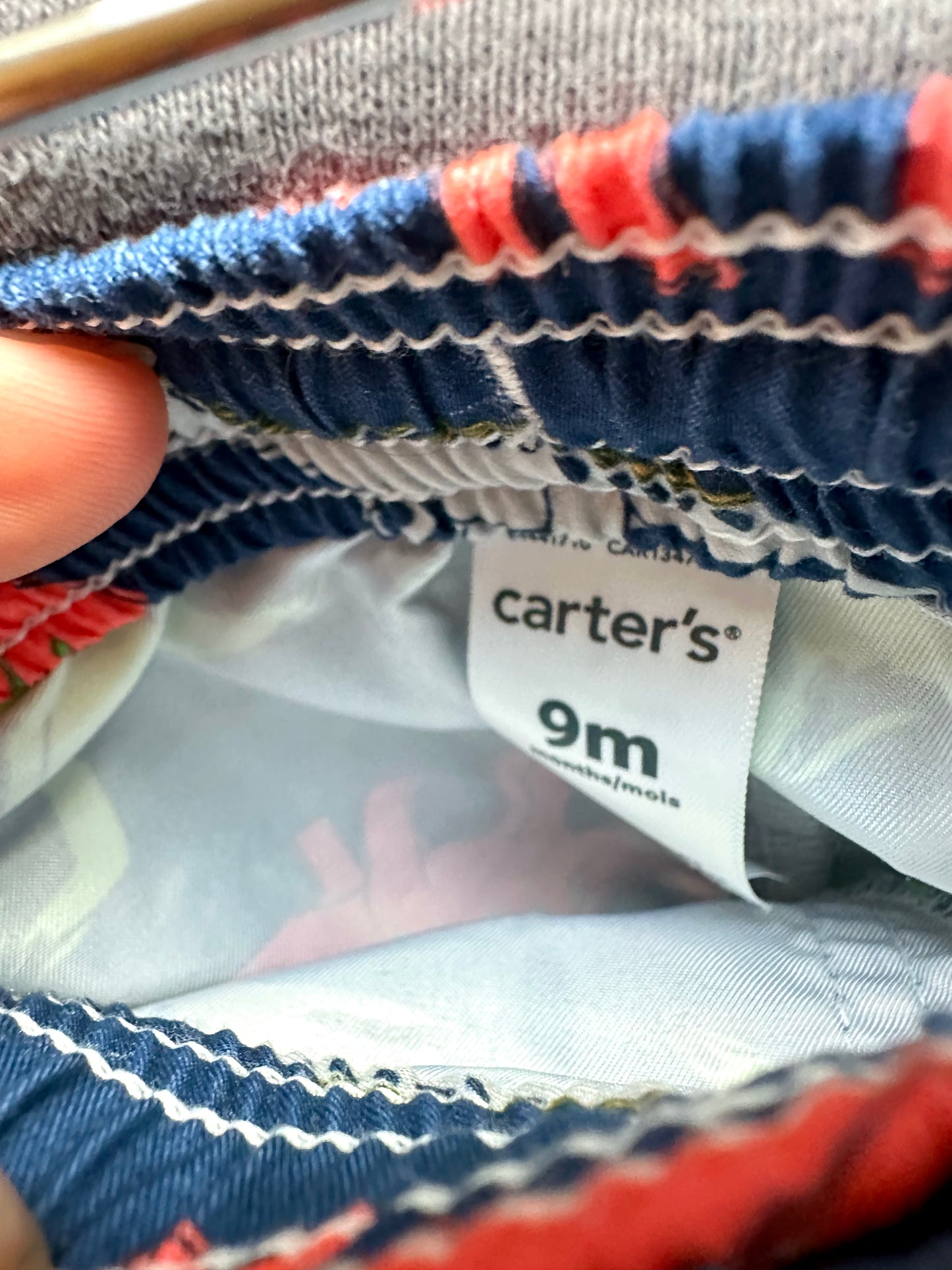 Colorful Dino Swim Shorts / 9m