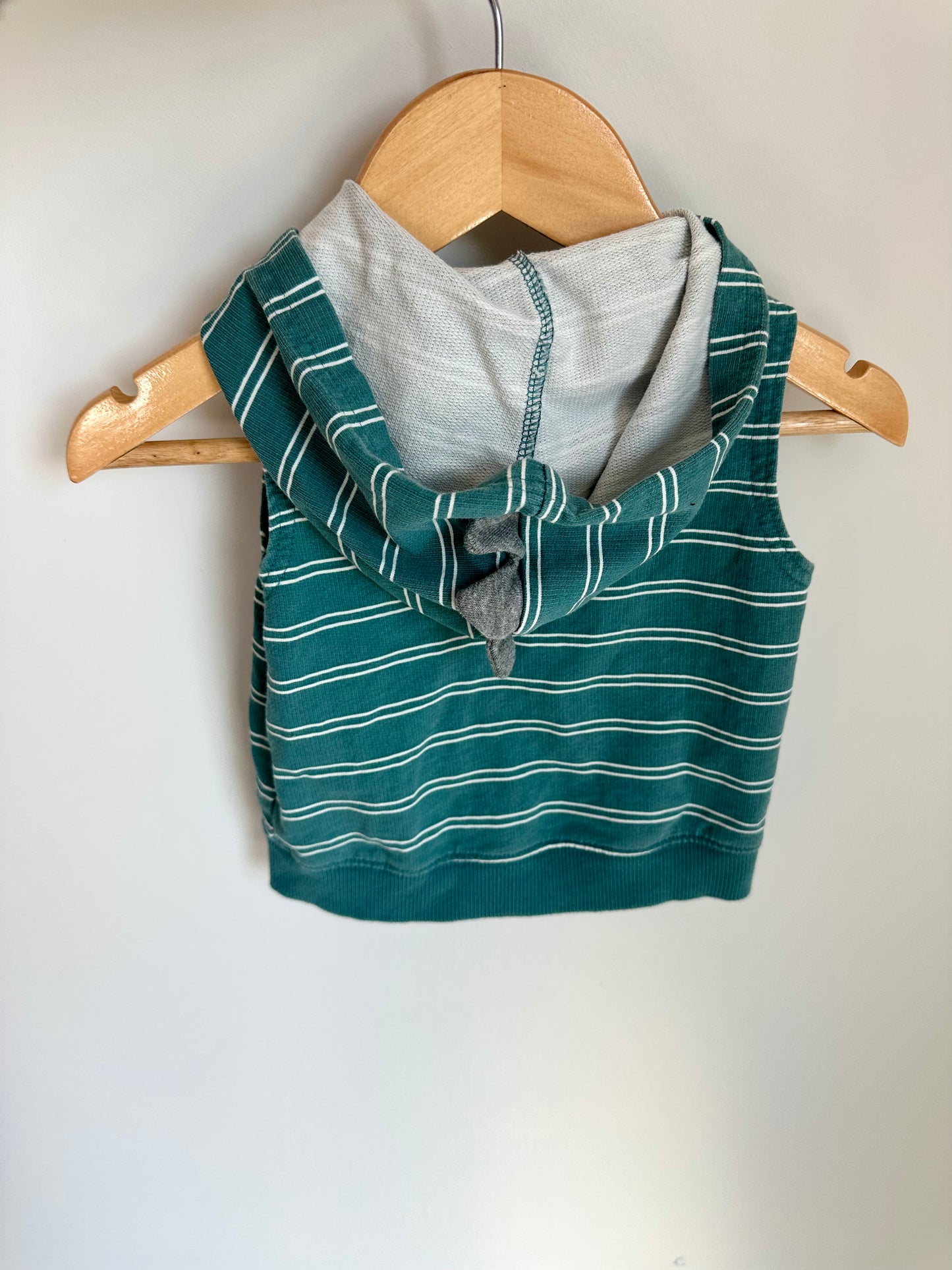 Teal Striped Dino Spike Hooded Vest / 12m