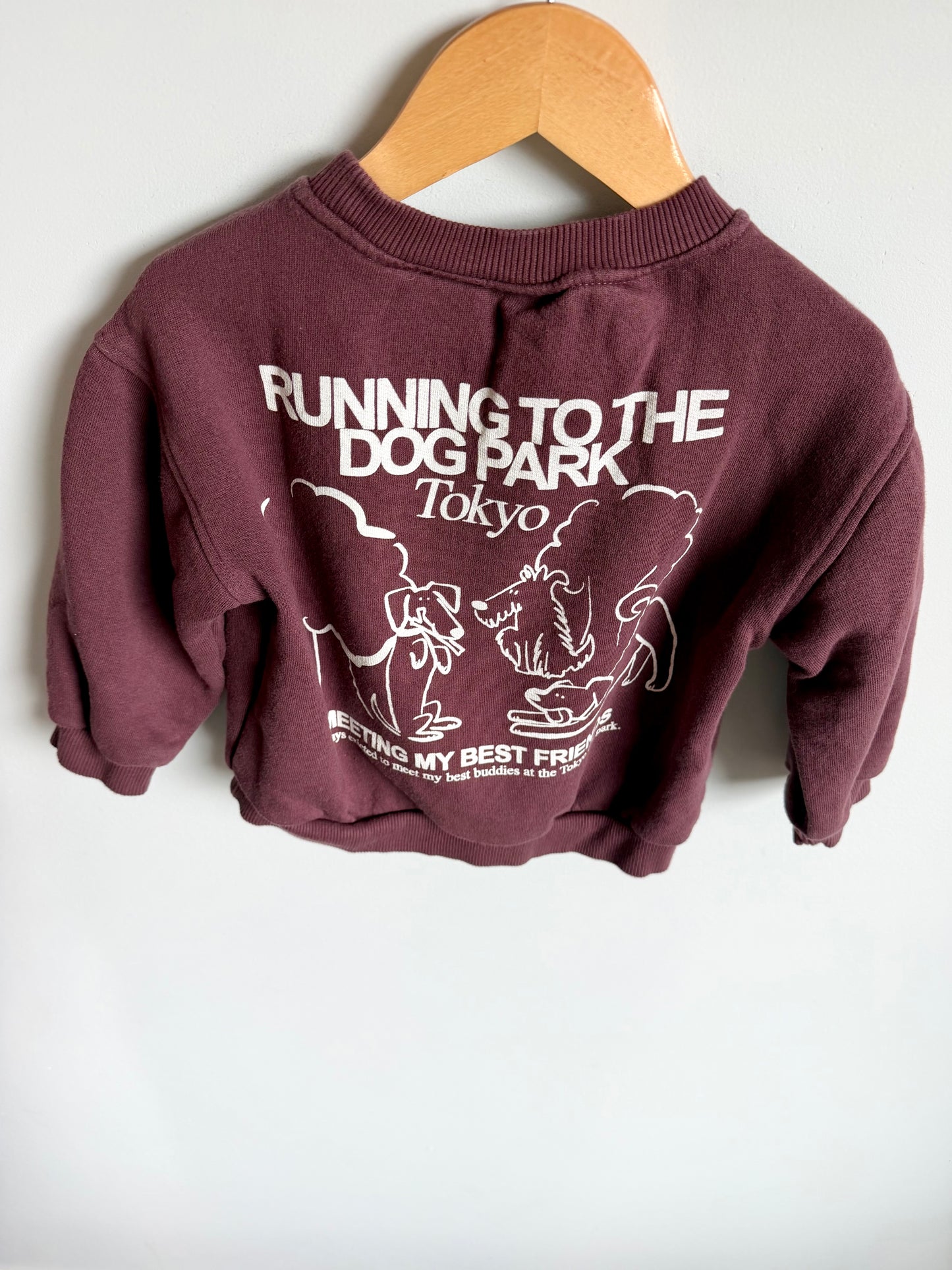 Dog Park Crew Neck Sweater / 3T