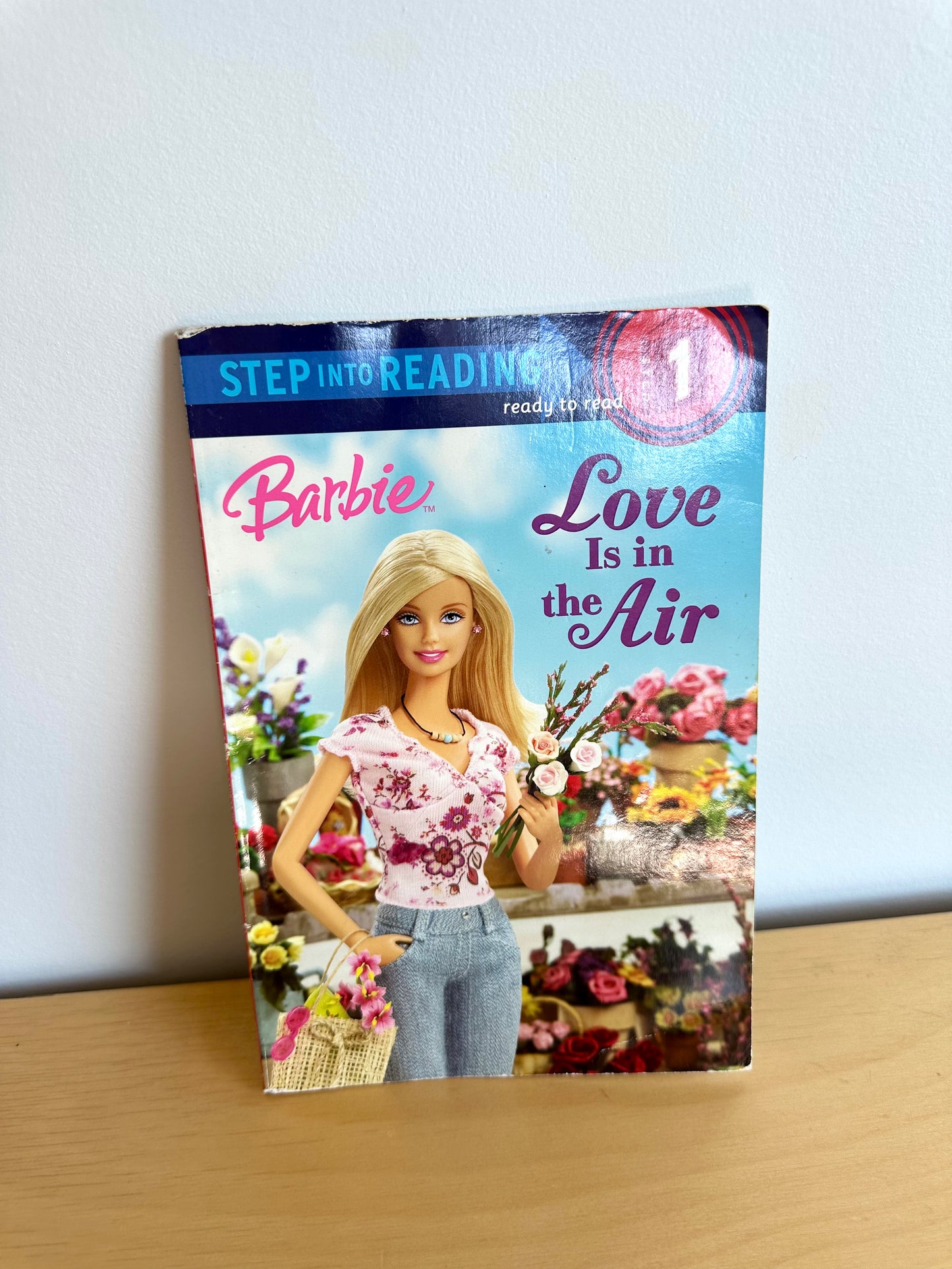 Barbie Love Is In The Air Book / 4-6 years