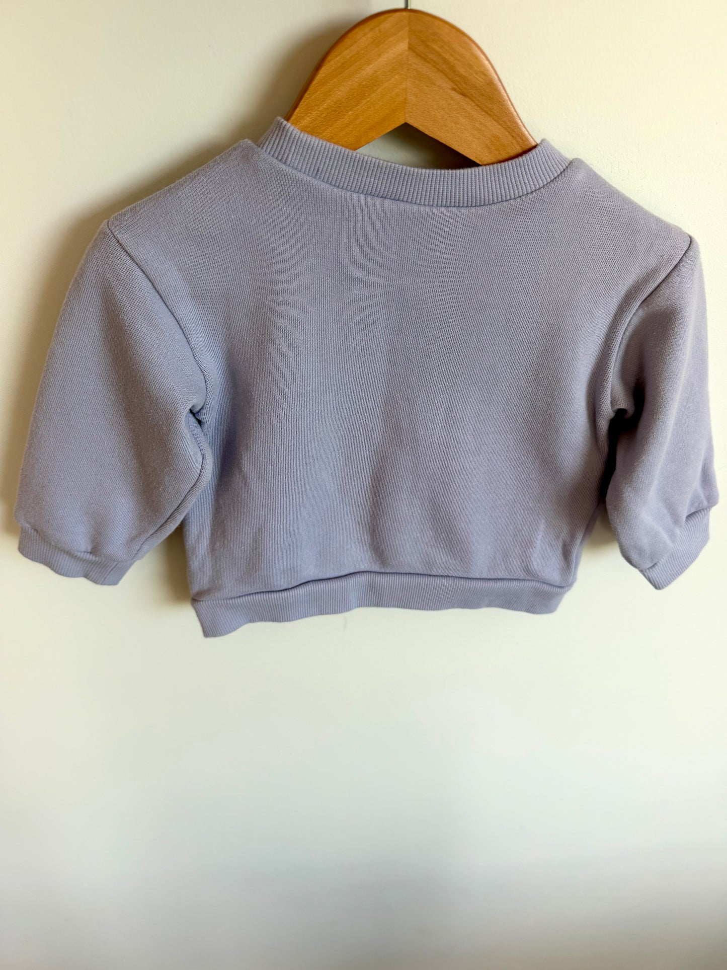 Perriwinkle Embroidered Flower + Snail Crewneck / 6-12m