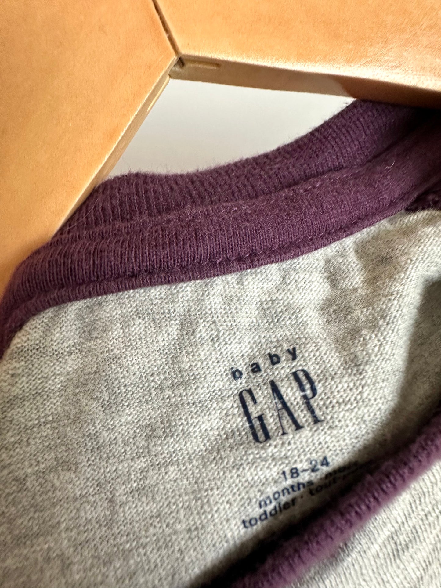 Gap Grey + Purple Long Sleeve / 18-24m
