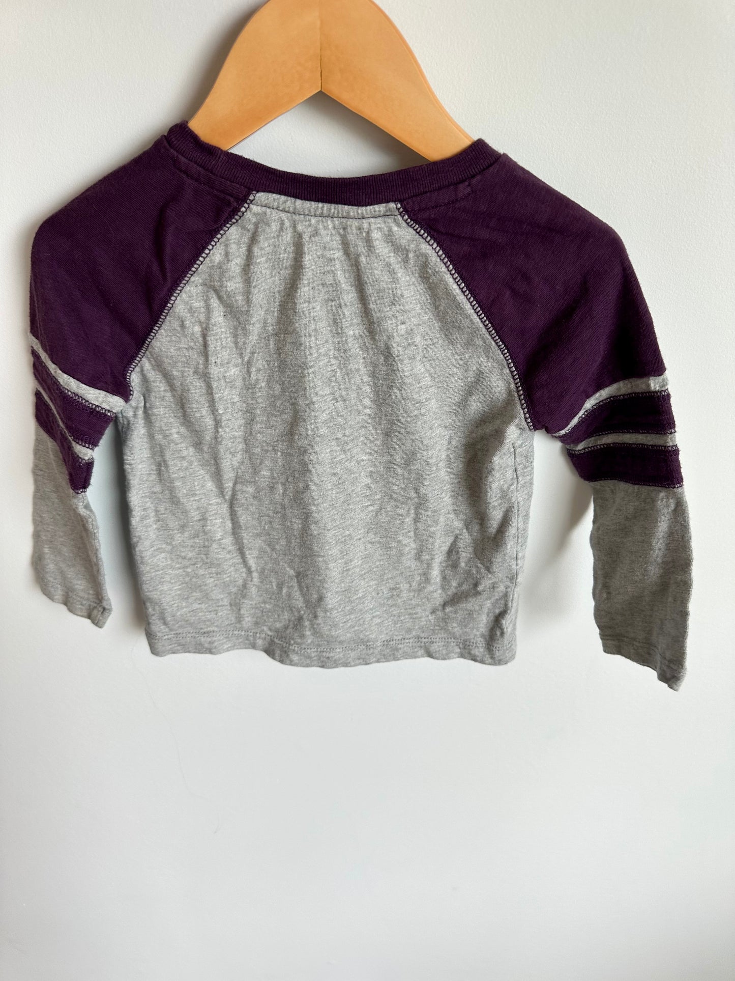 Gap Grey + Purple Long Sleeve / 18-24m