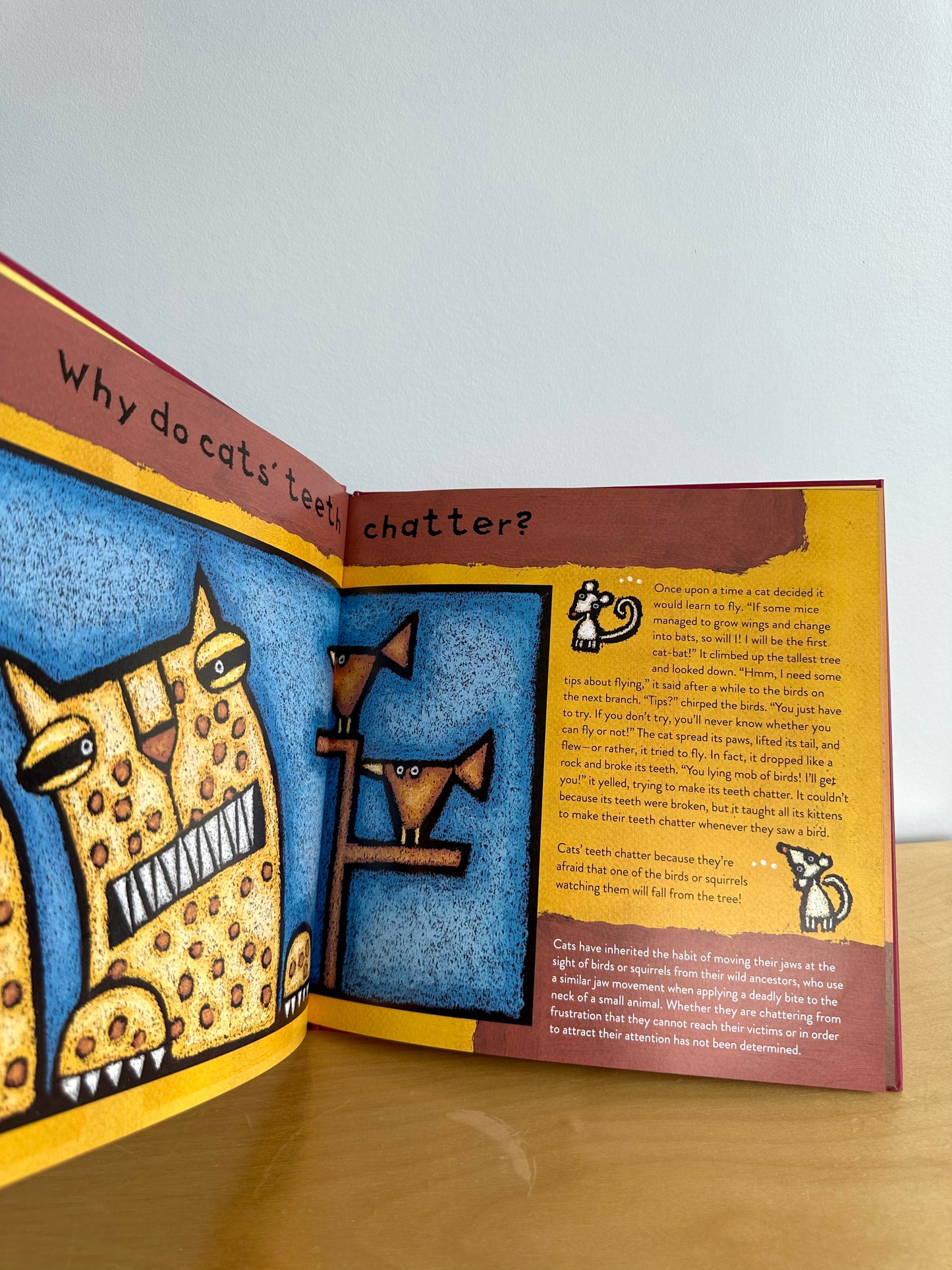 Cat Whys Hardcover Book (No Shipping)/ 4-8 years