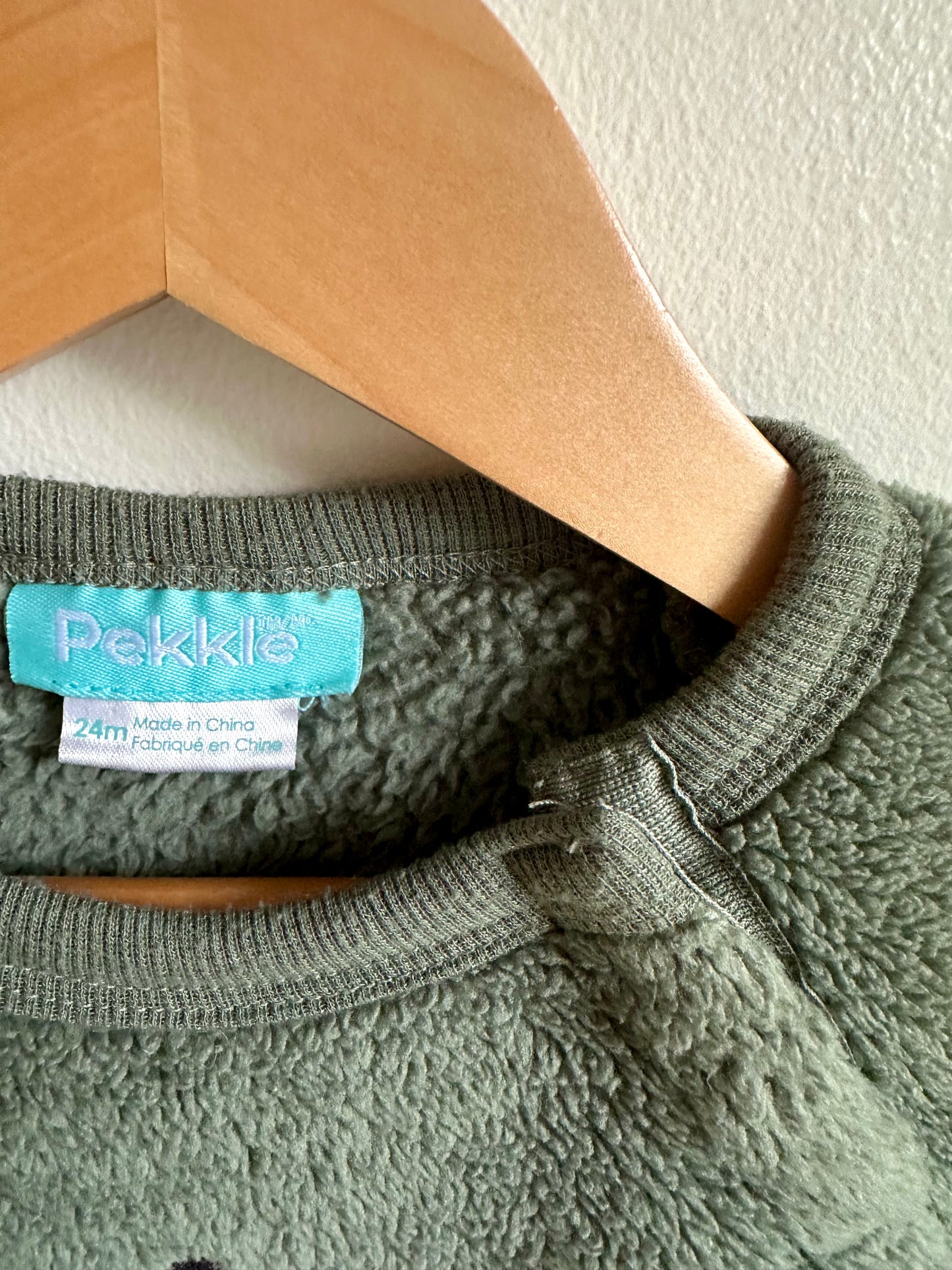 Stegosaurus Sweater / 24m