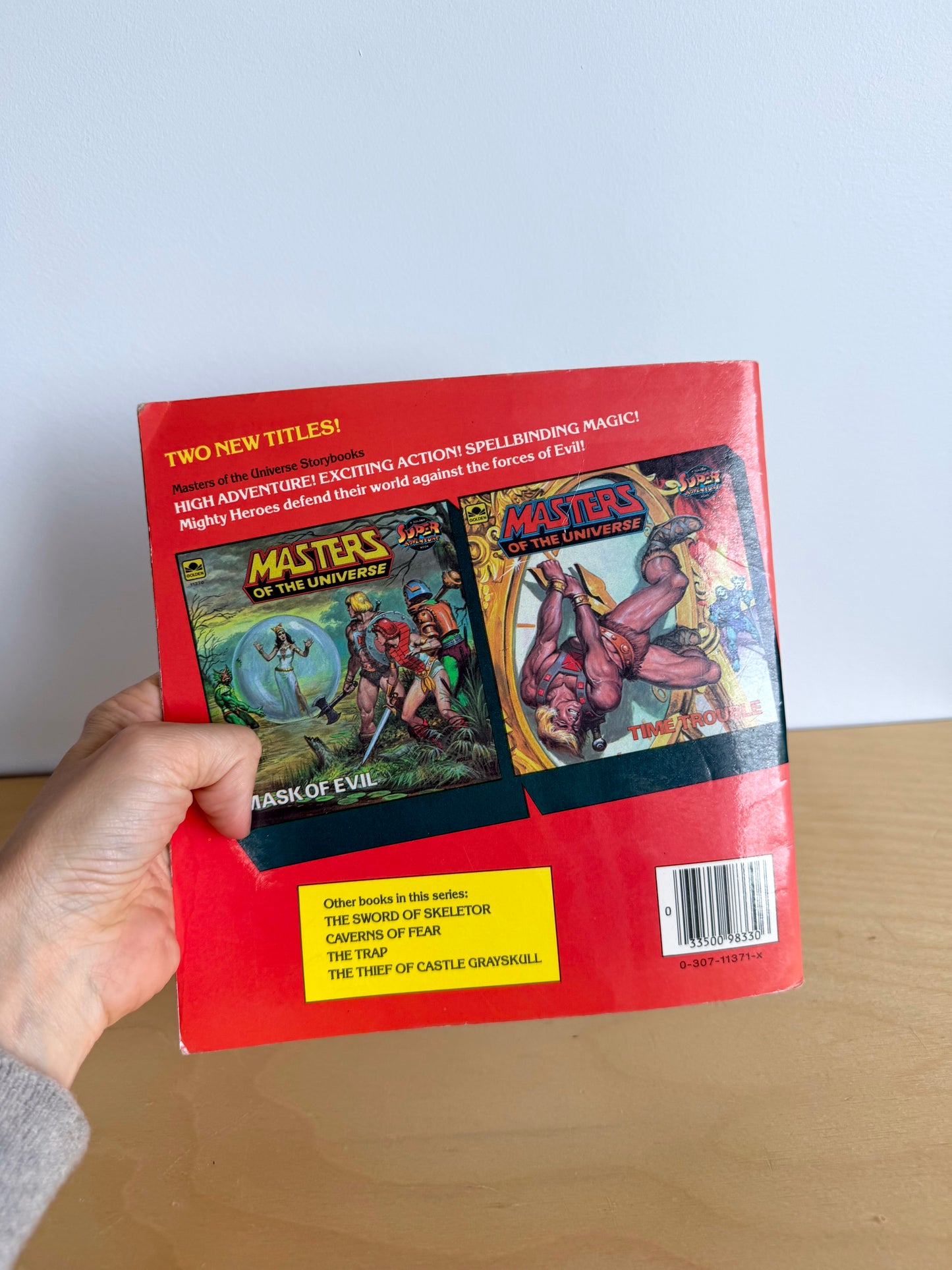 Masters Of The Universe Book / 6-9 years