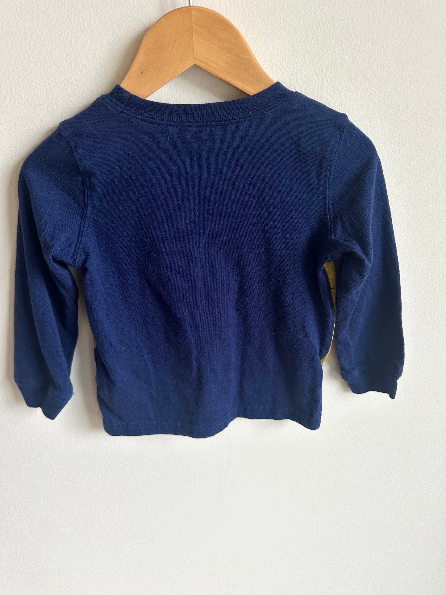 T-Rex Flashlight Top / 24m