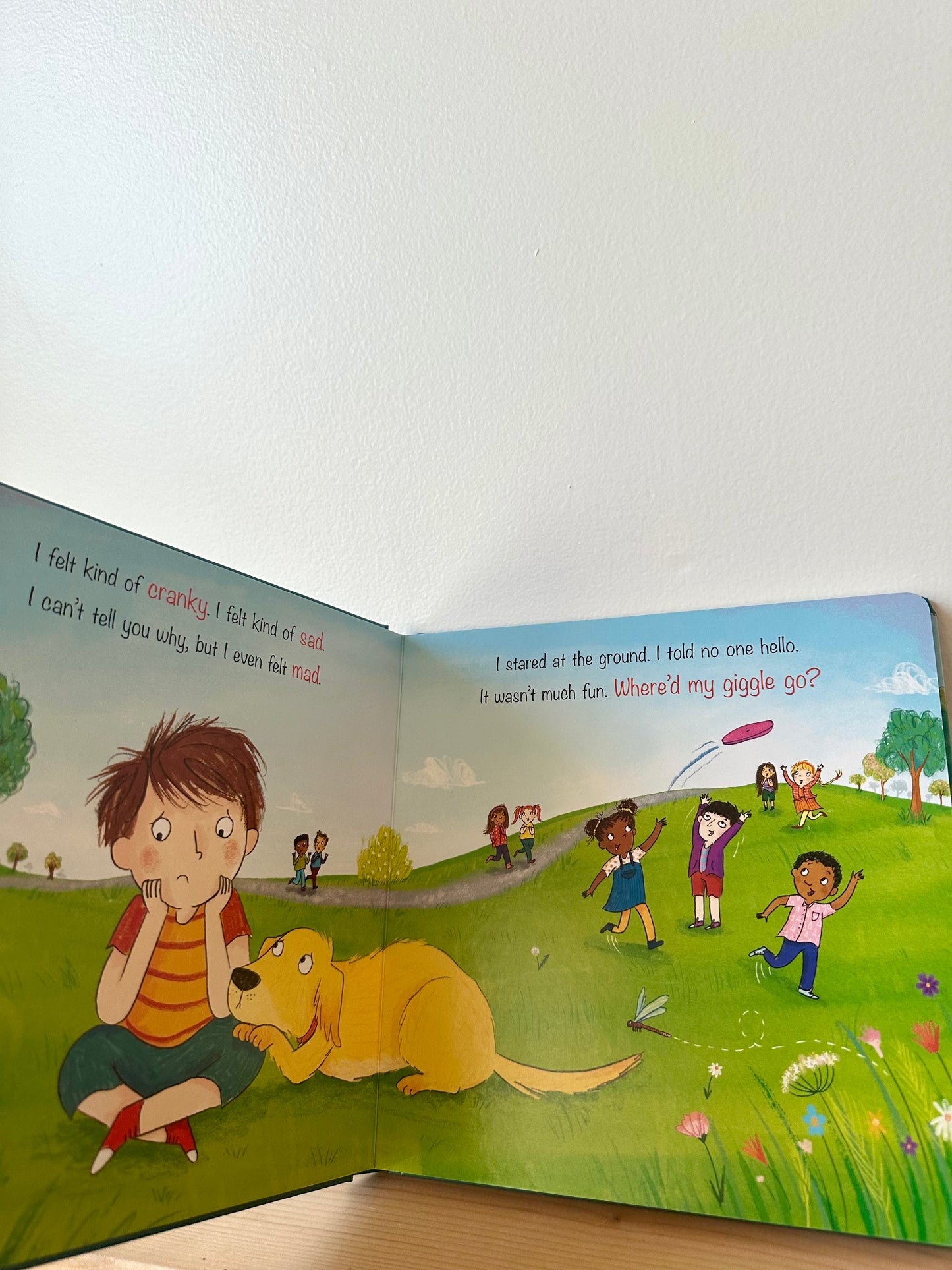 Where'd My Giggle Go? Book / 2-4 years