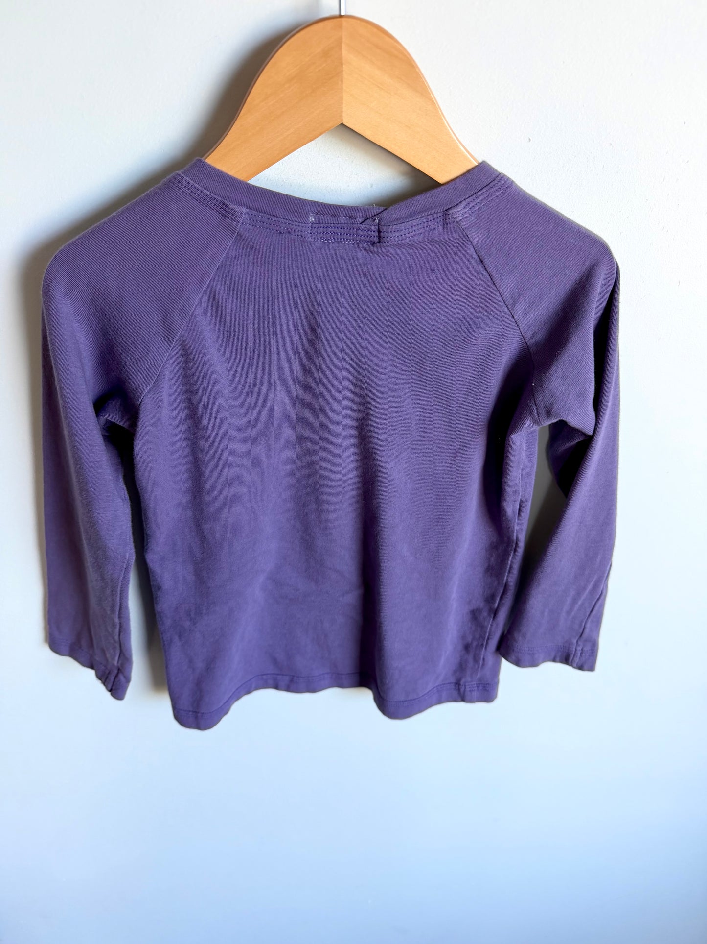 Handmade Purple Long Sleeve Top / 3-4T