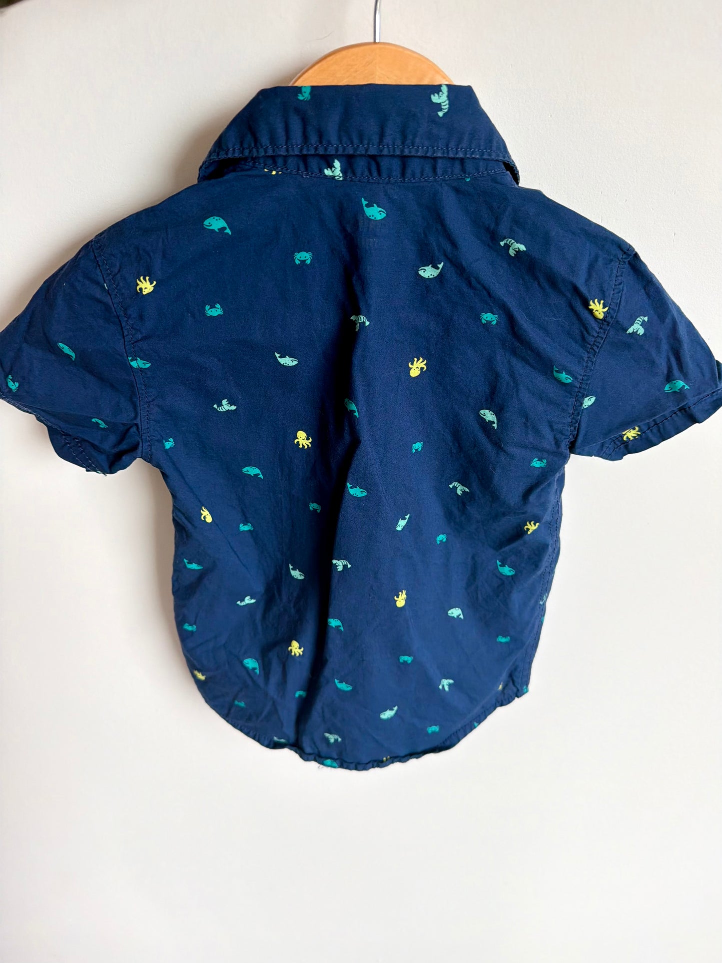 Collared Navy Button Up / 2T