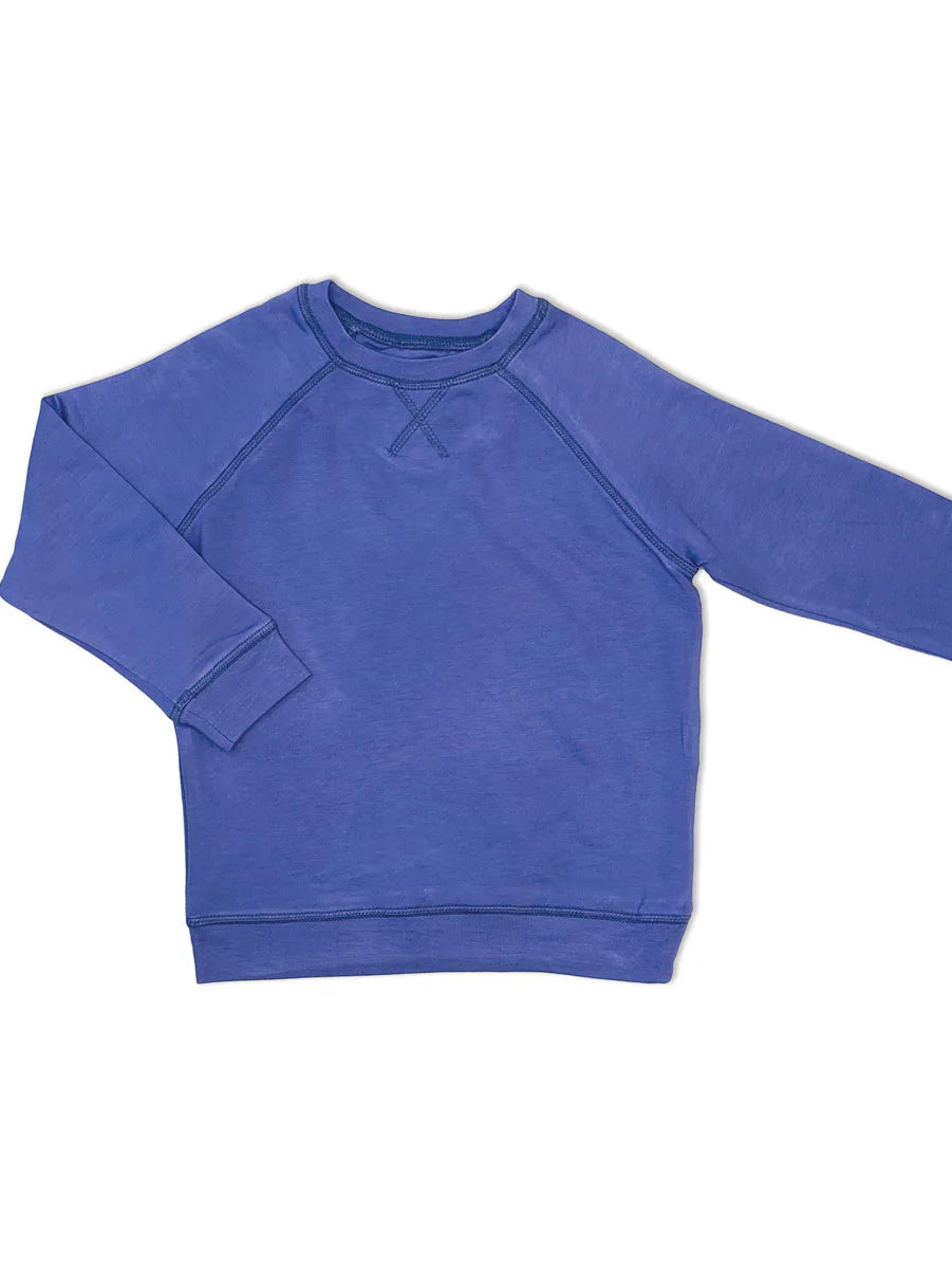 Blueberry Bamboo Fleece Sweatshirt (New Retail Item) / 3 years
