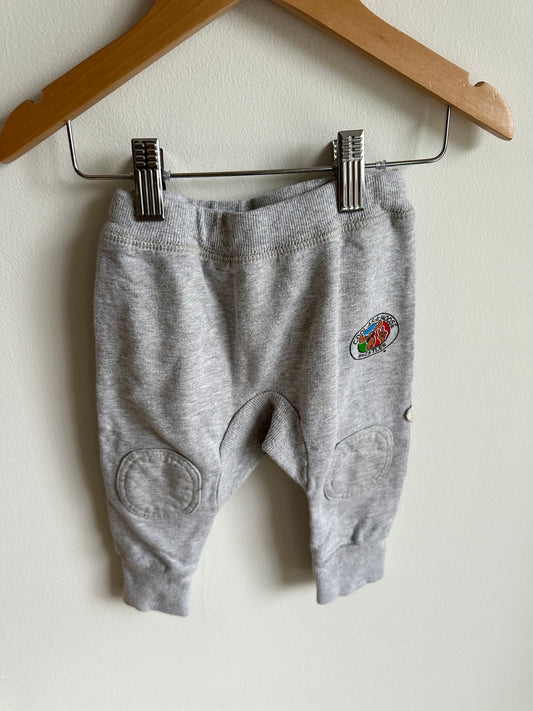 Grey Cool As A Moose Pants / 12-18m