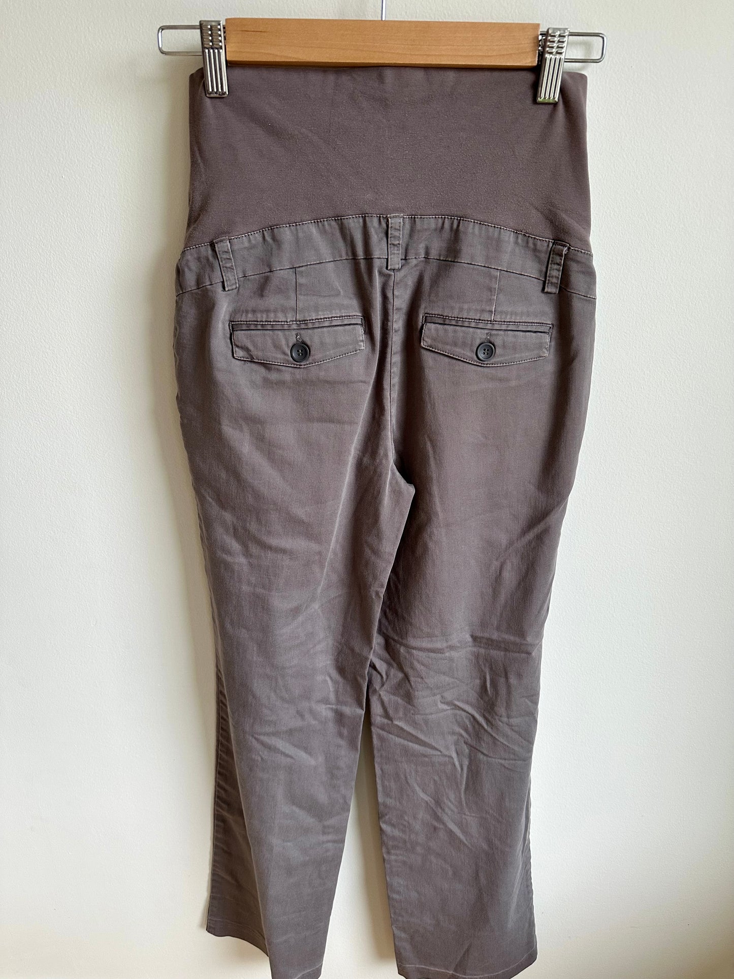 Thyme Grey Pants with Panel / XS