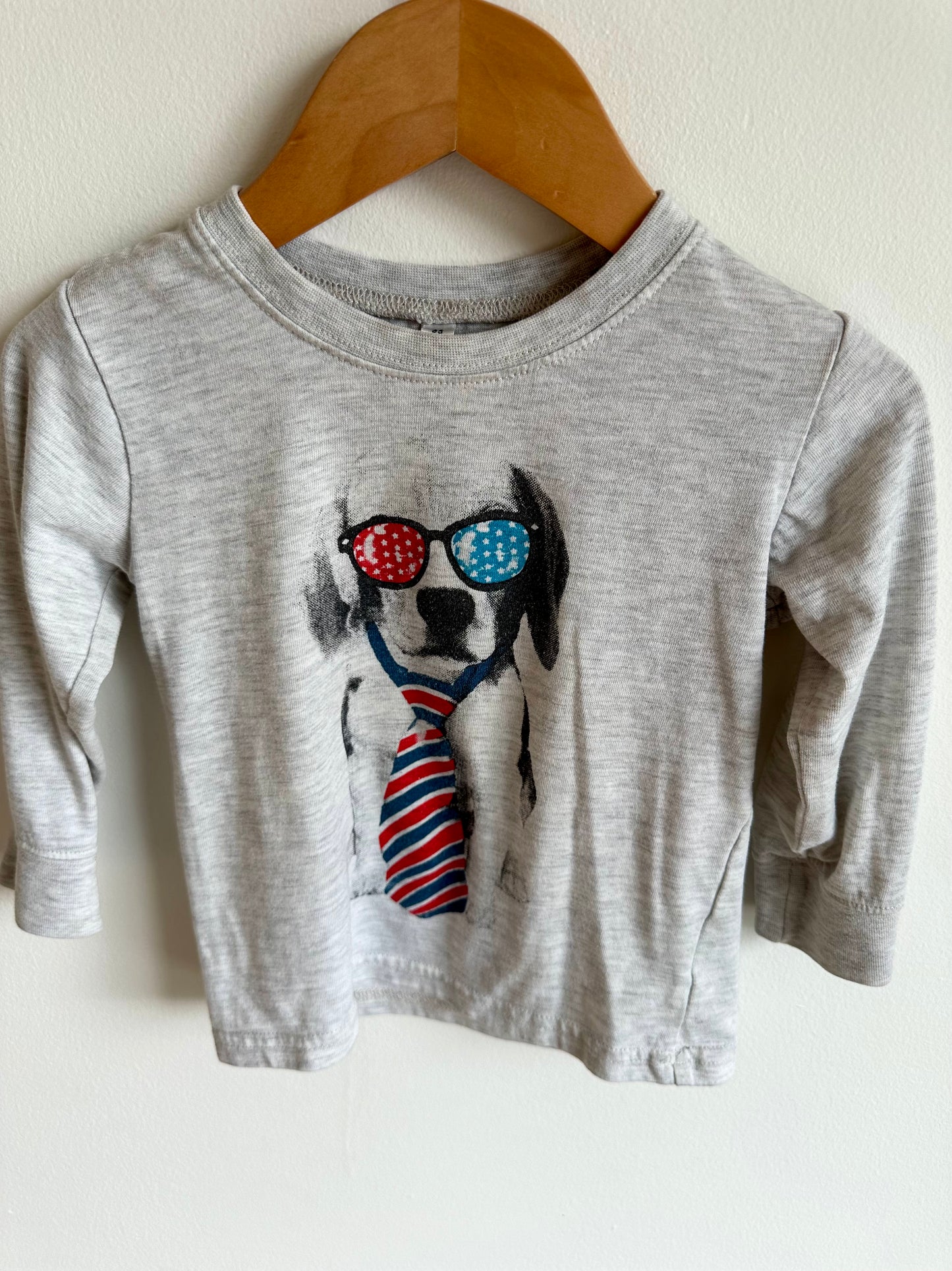 Grey Puppy Long Sleeve / 2T