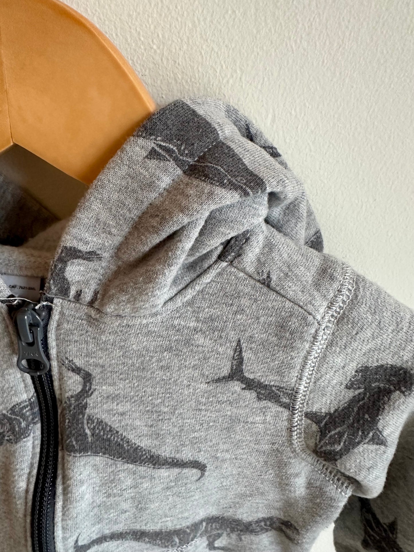 Grey T-Rex Hoodie / 12m