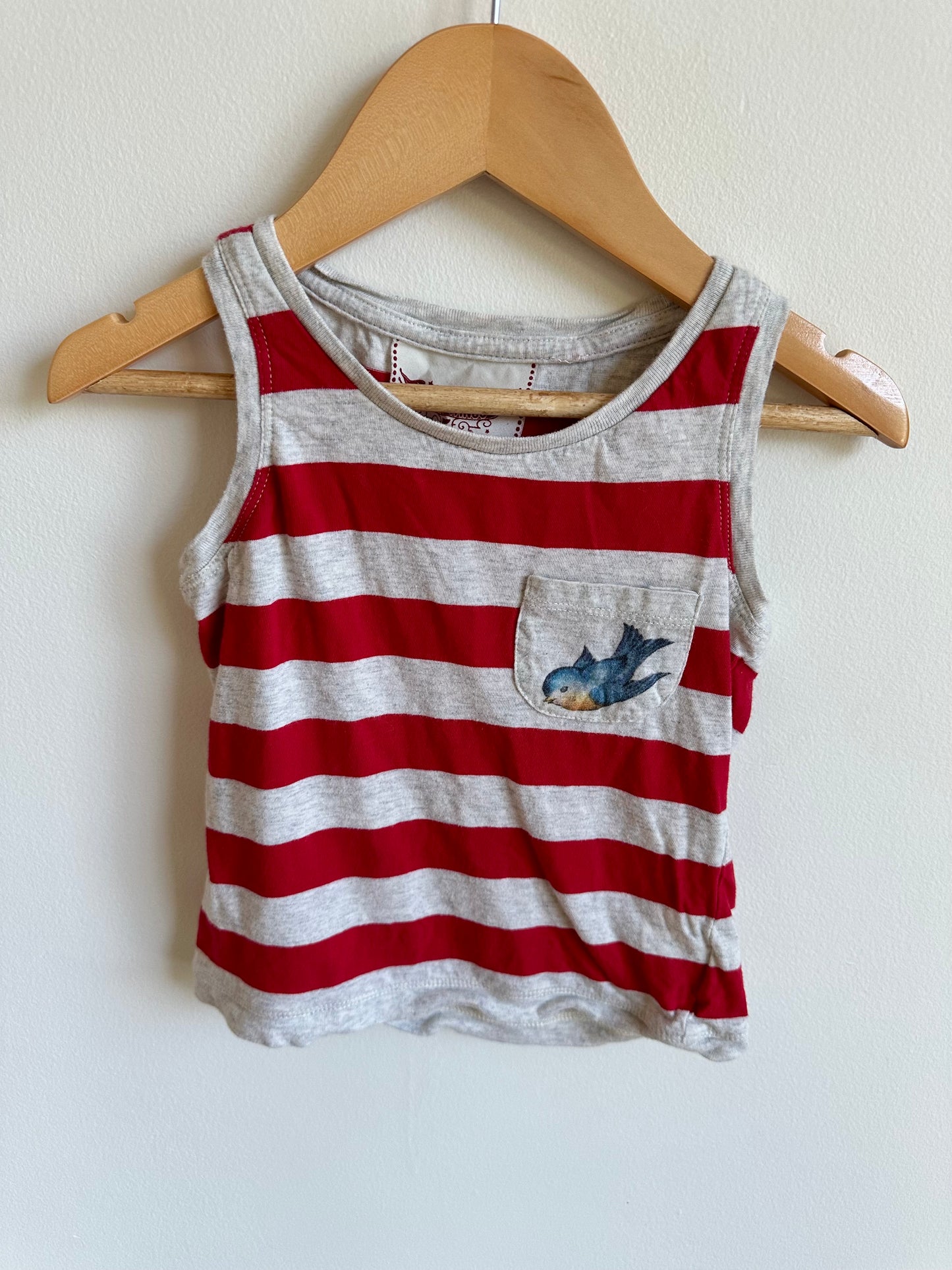 Organic Paper Wings Red Striped Top / 3T