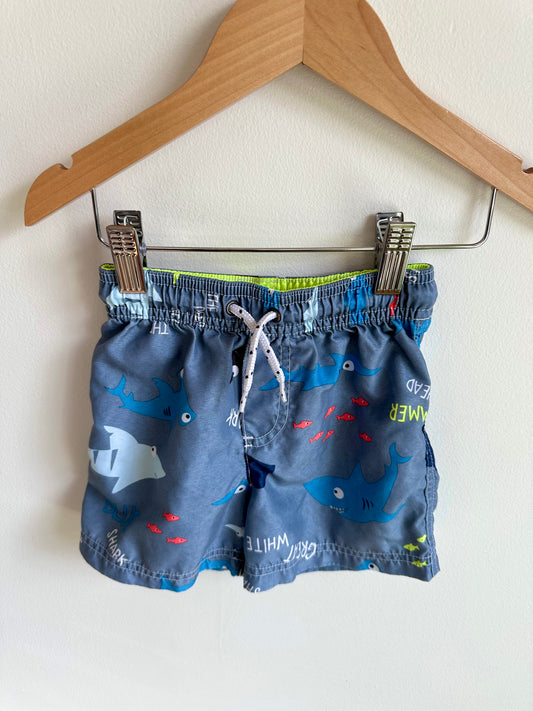 Ocean Swim Shorts / 24m