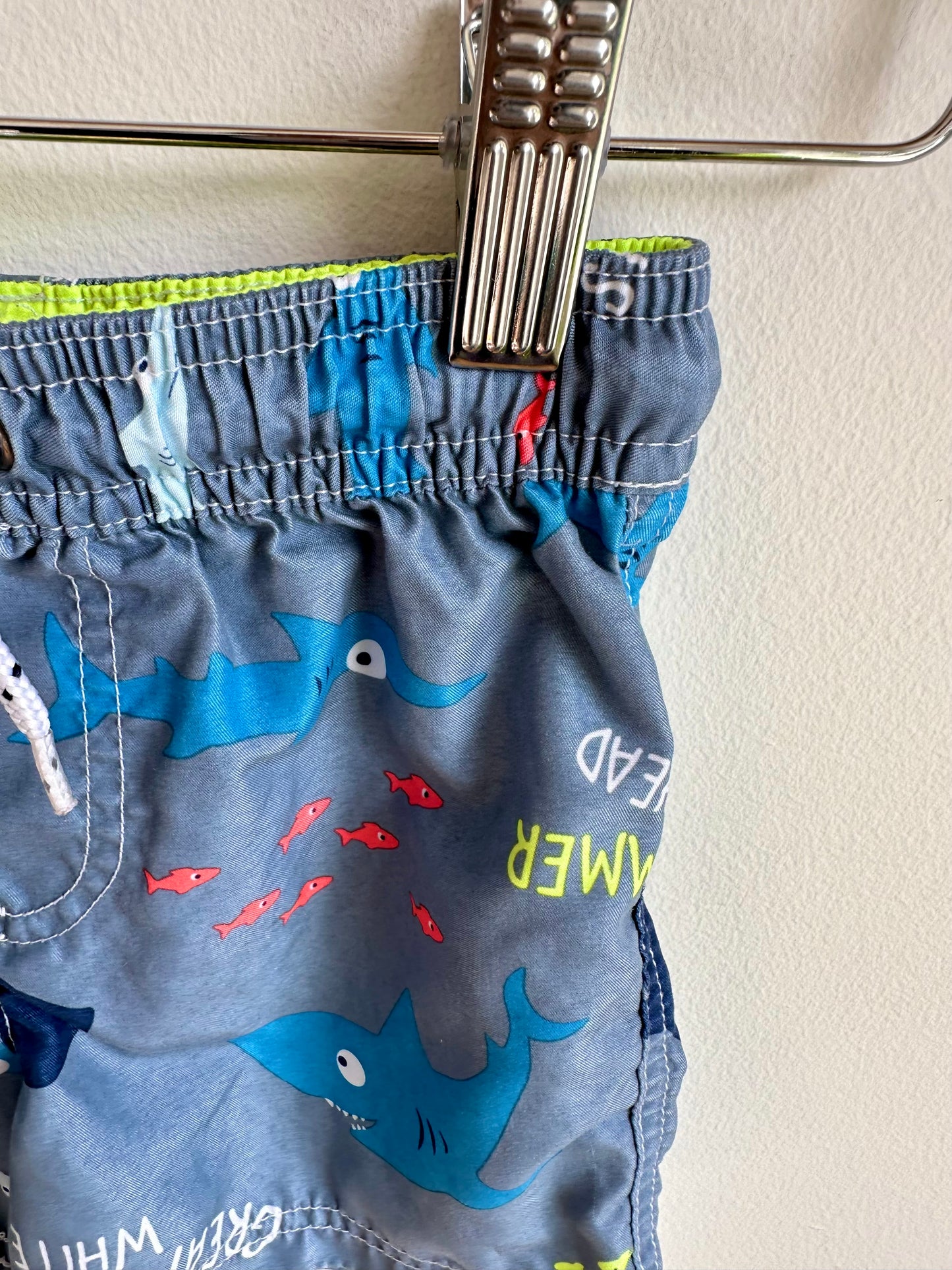 Ocean Swim Shorts / 24m