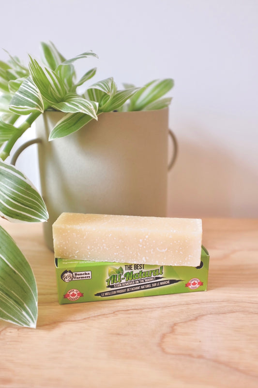 All Natural Stain Remover Stick