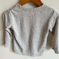 Grey Puppy Long Sleeve / 2T