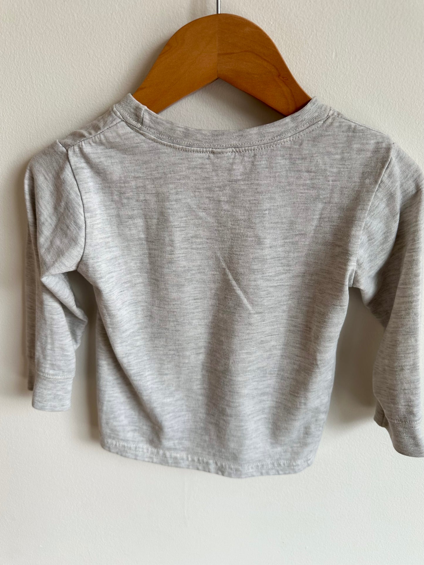 Grey Puppy Long Sleeve / 2T