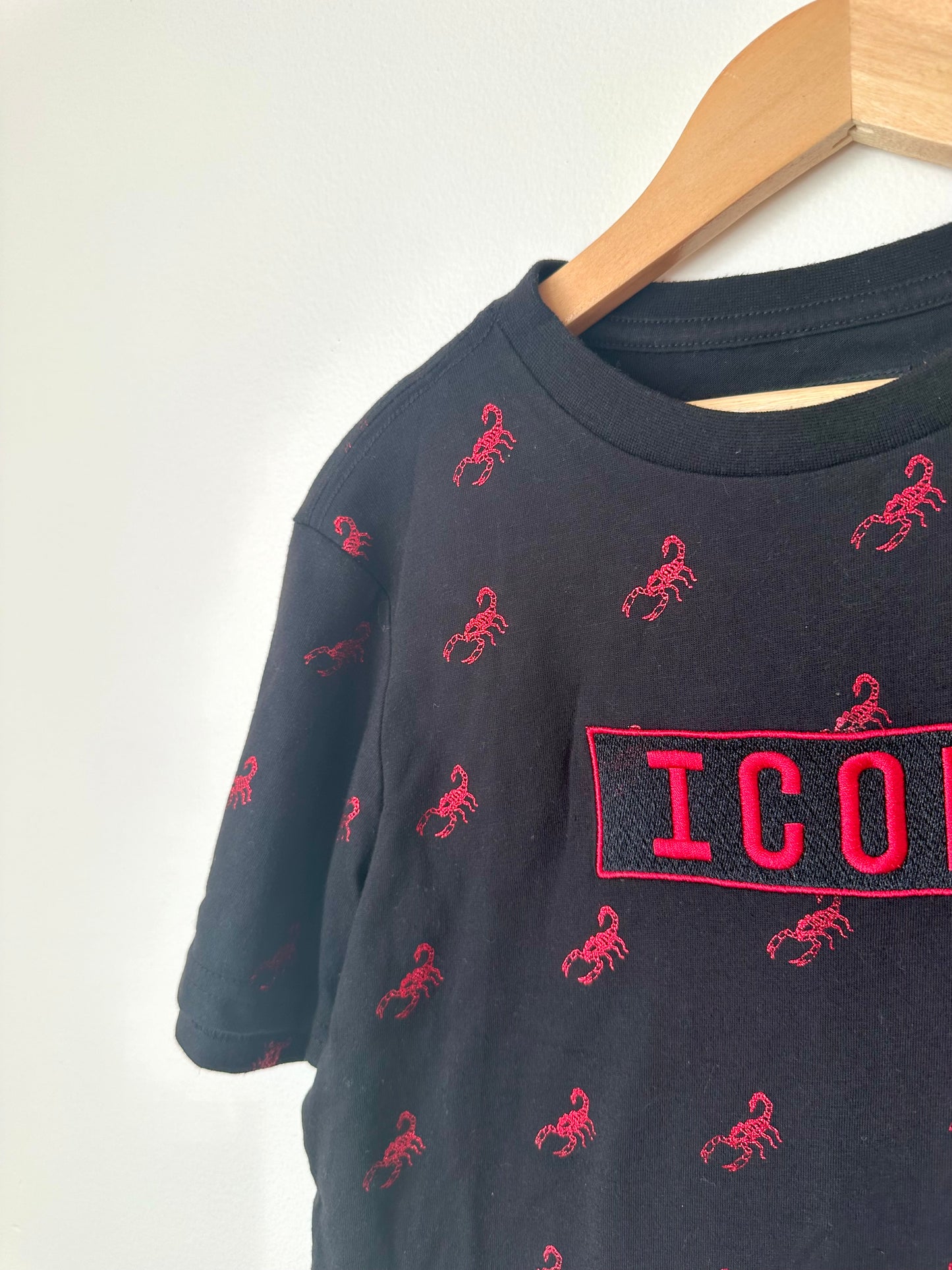 Scorpion Icon T-shirt / 12-14 years