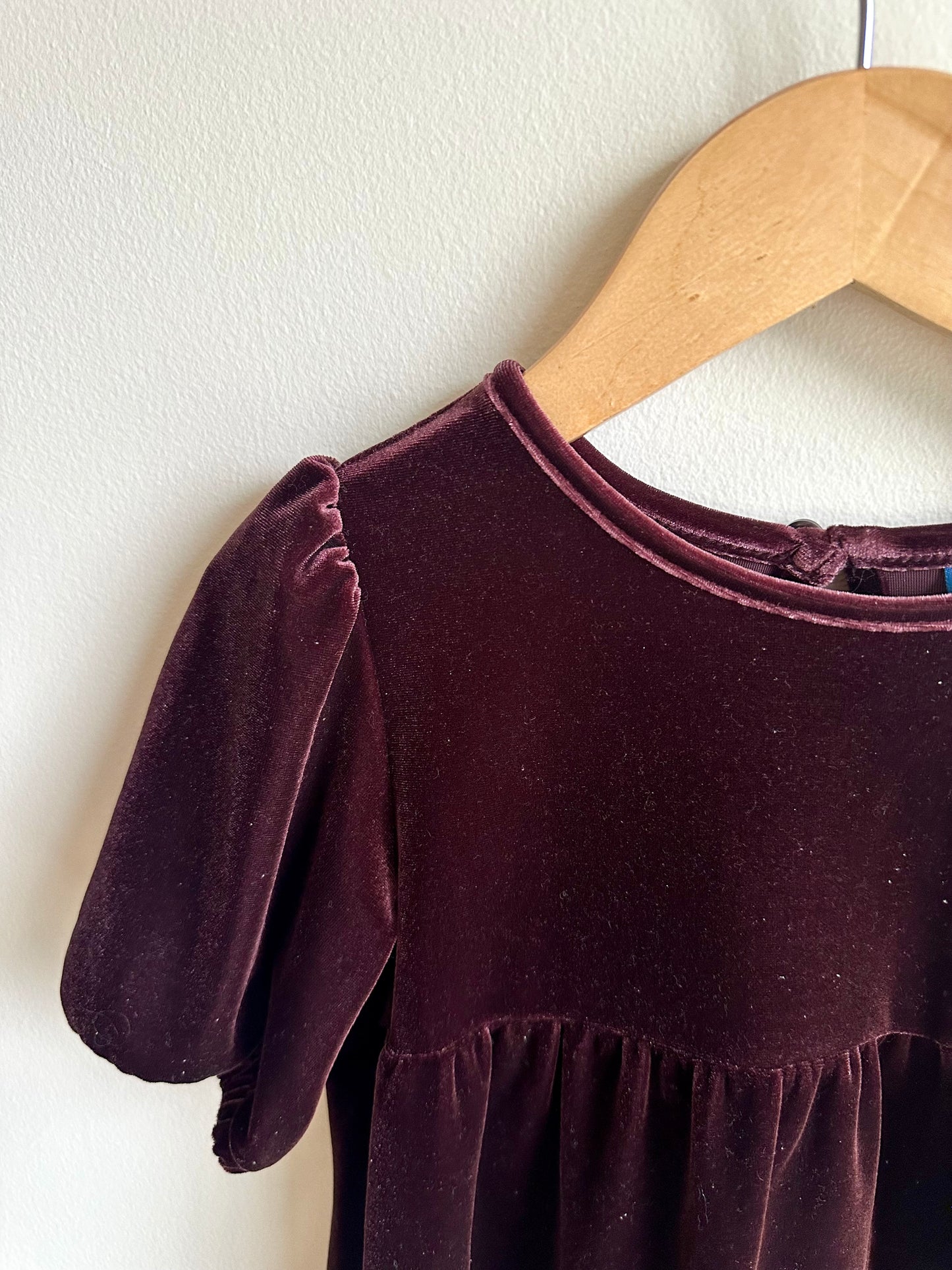 Velvet Plum Formal Dress / 4T