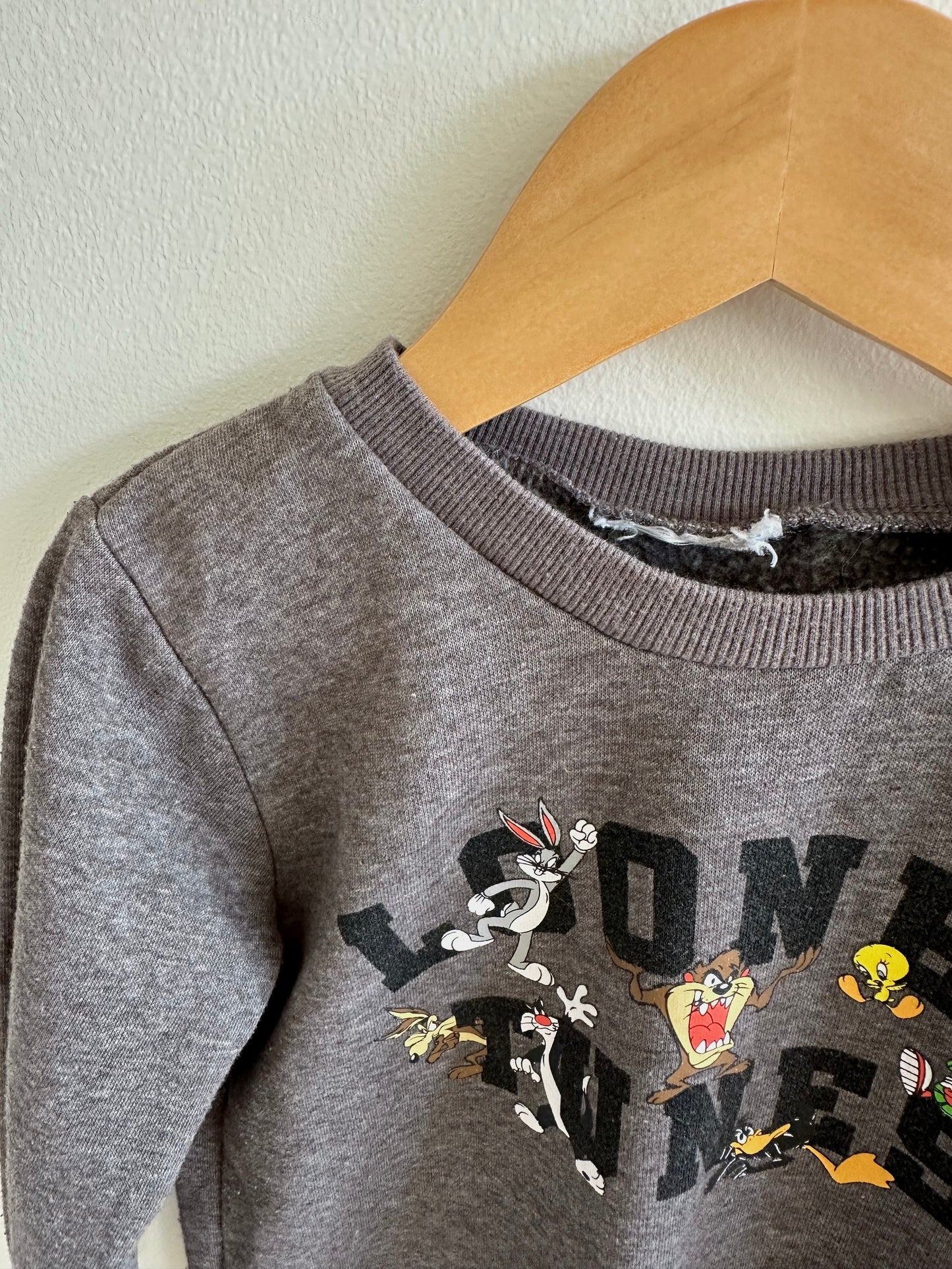 Looney Tunes Crewneck / 3T-4T?