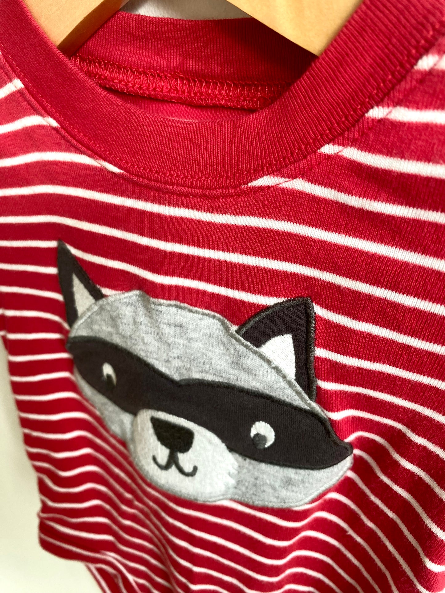 Raccoon Bodysuit / 6m