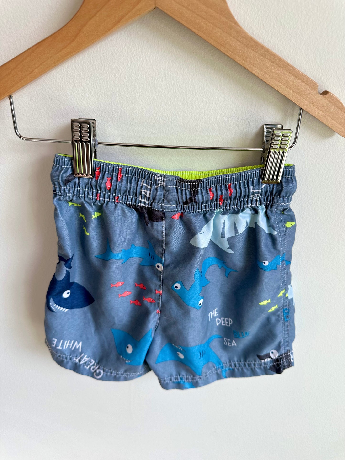 Ocean Swim Shorts / 24m