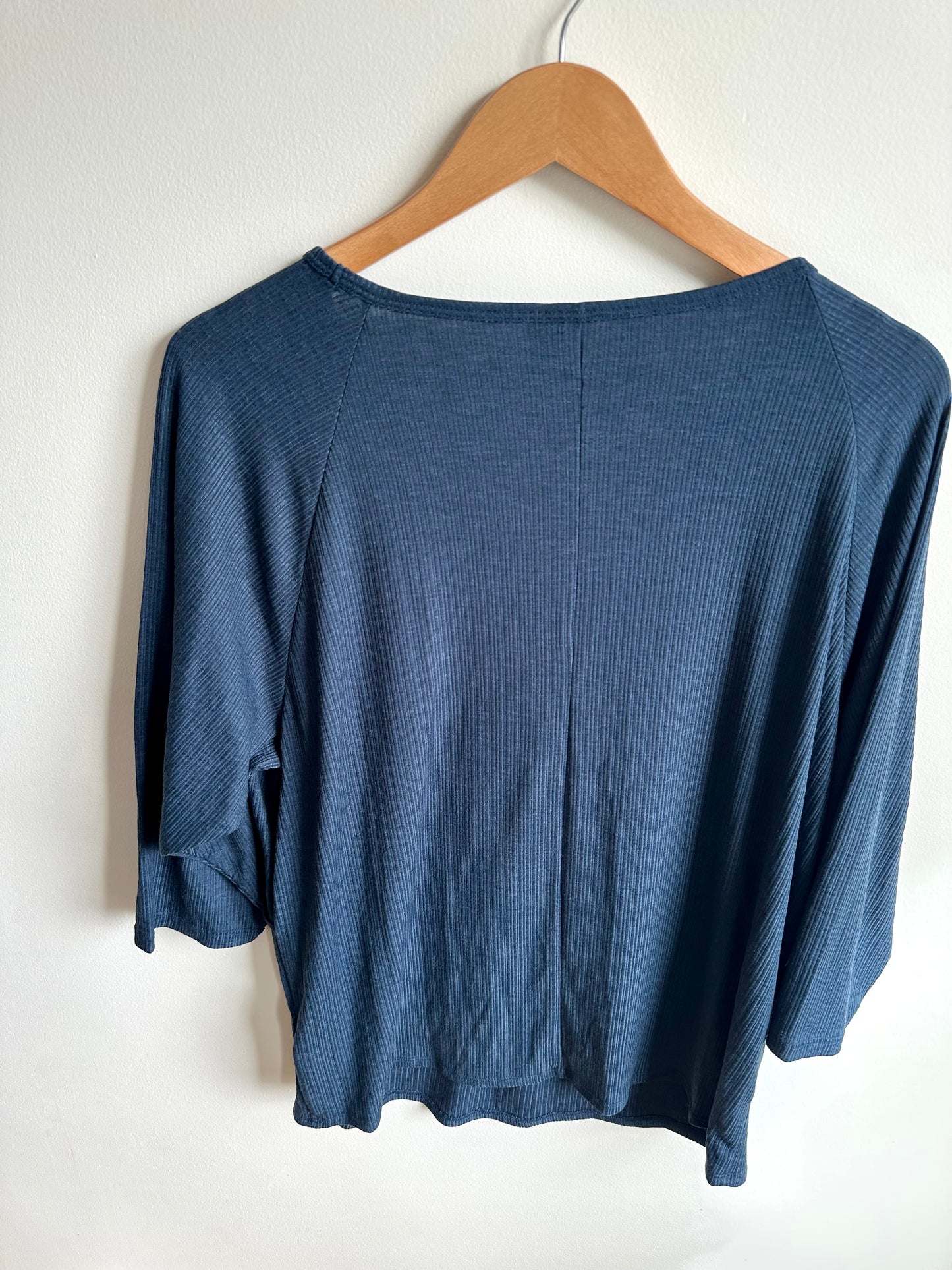 Blue Maternity or Nursing Top (With Tags) / L