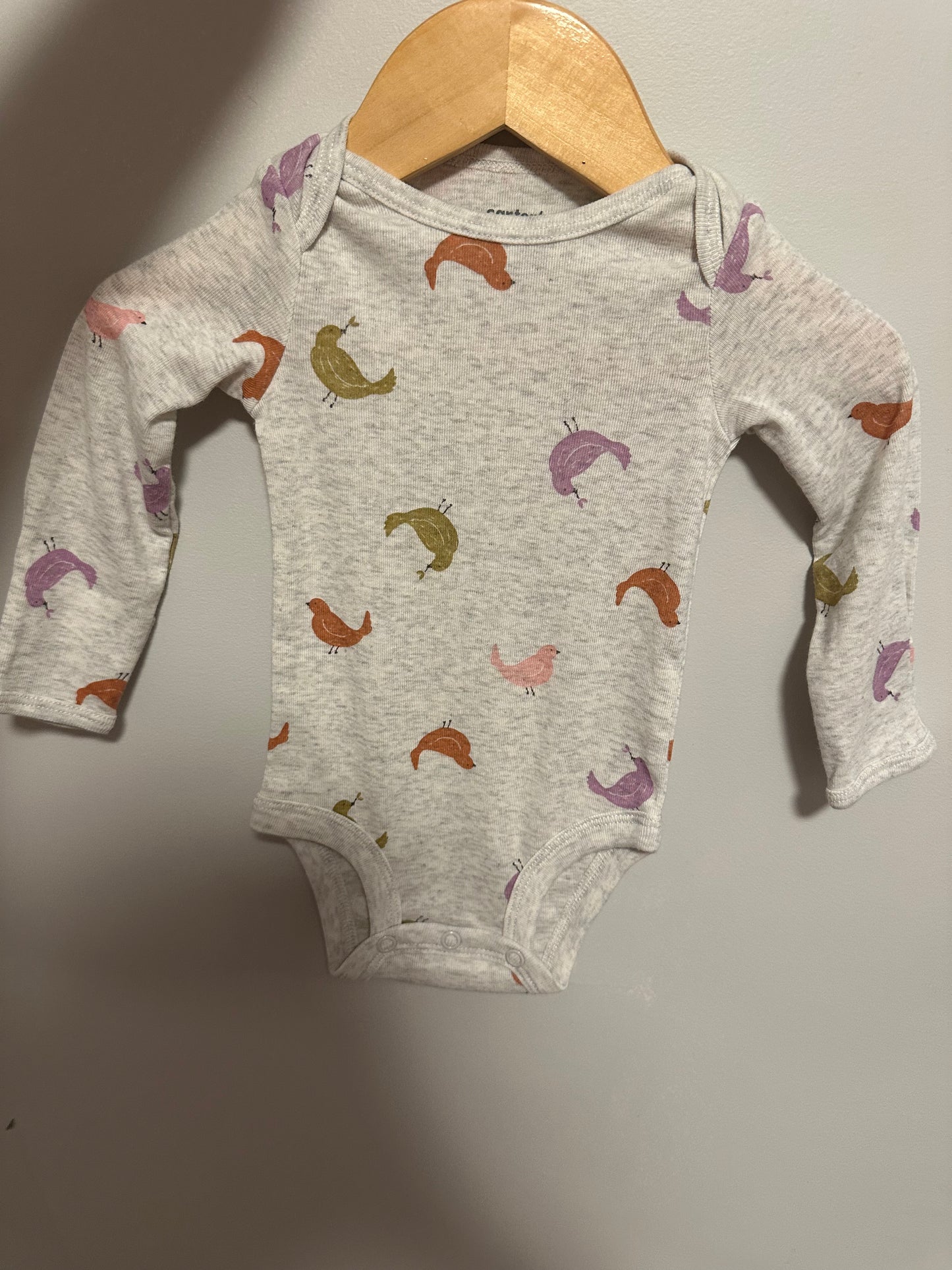 Set of 2 Long Sleeve Bodysuits- Apples + Birds / 3m