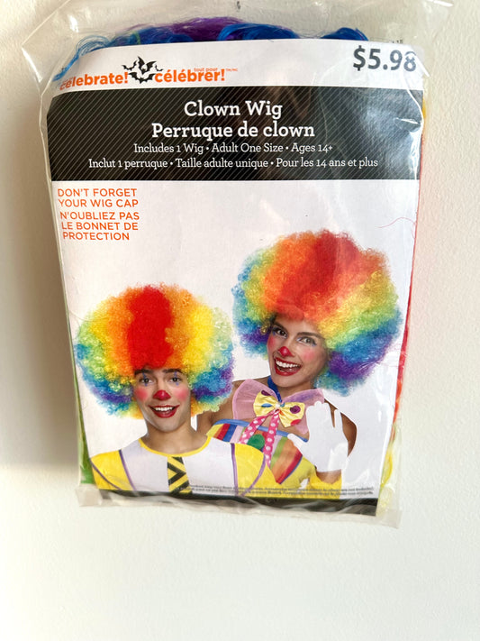 Rainbow Clown Wig / Adult (14+)