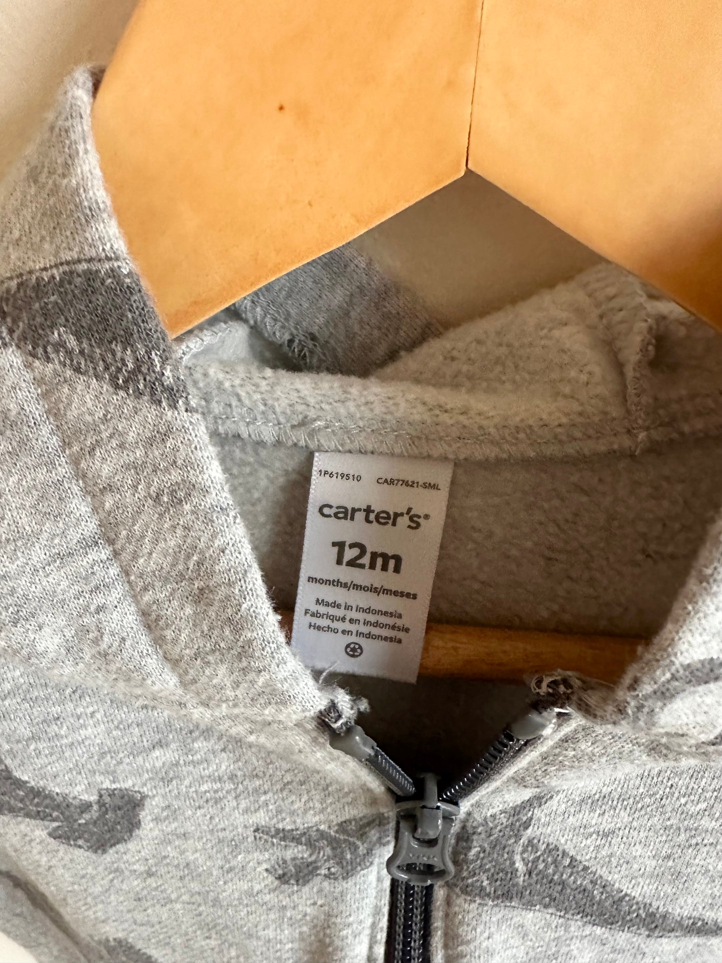 Grey T-Rex Hoodie / 12m