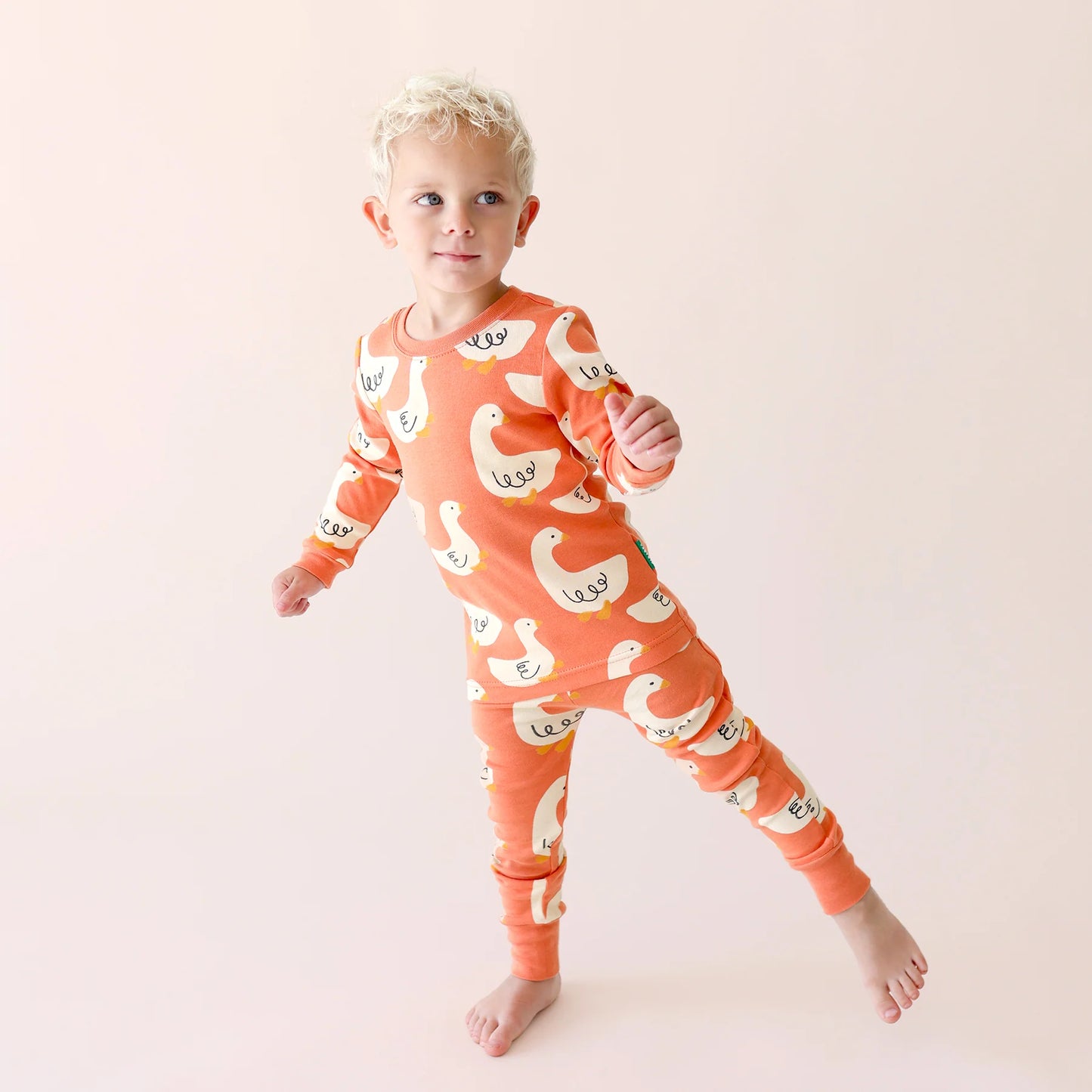 NEW Parade Goose PJ Top + Bottoms Set / 2T