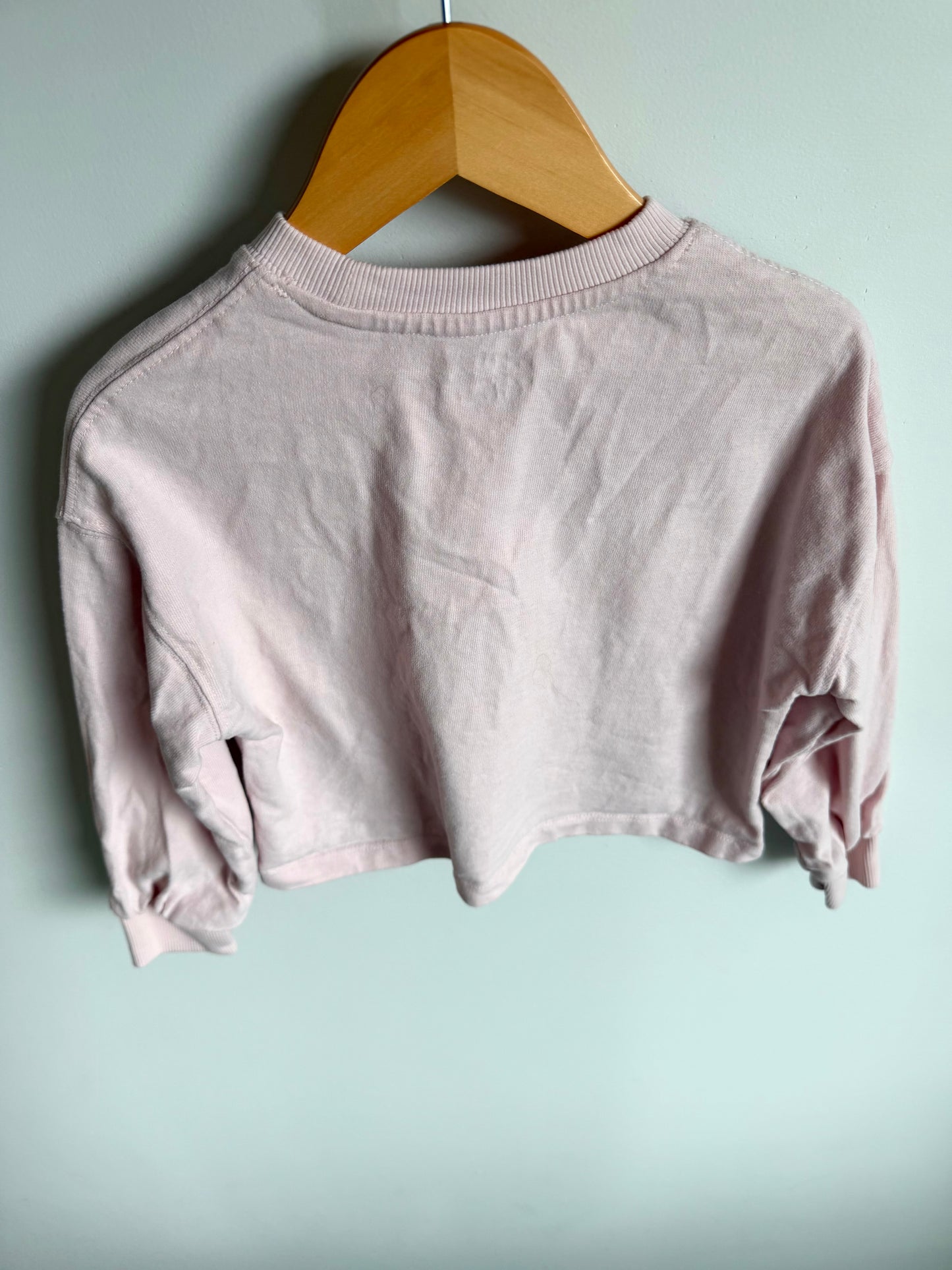Mouse Ballerina Cropped Top / 3T